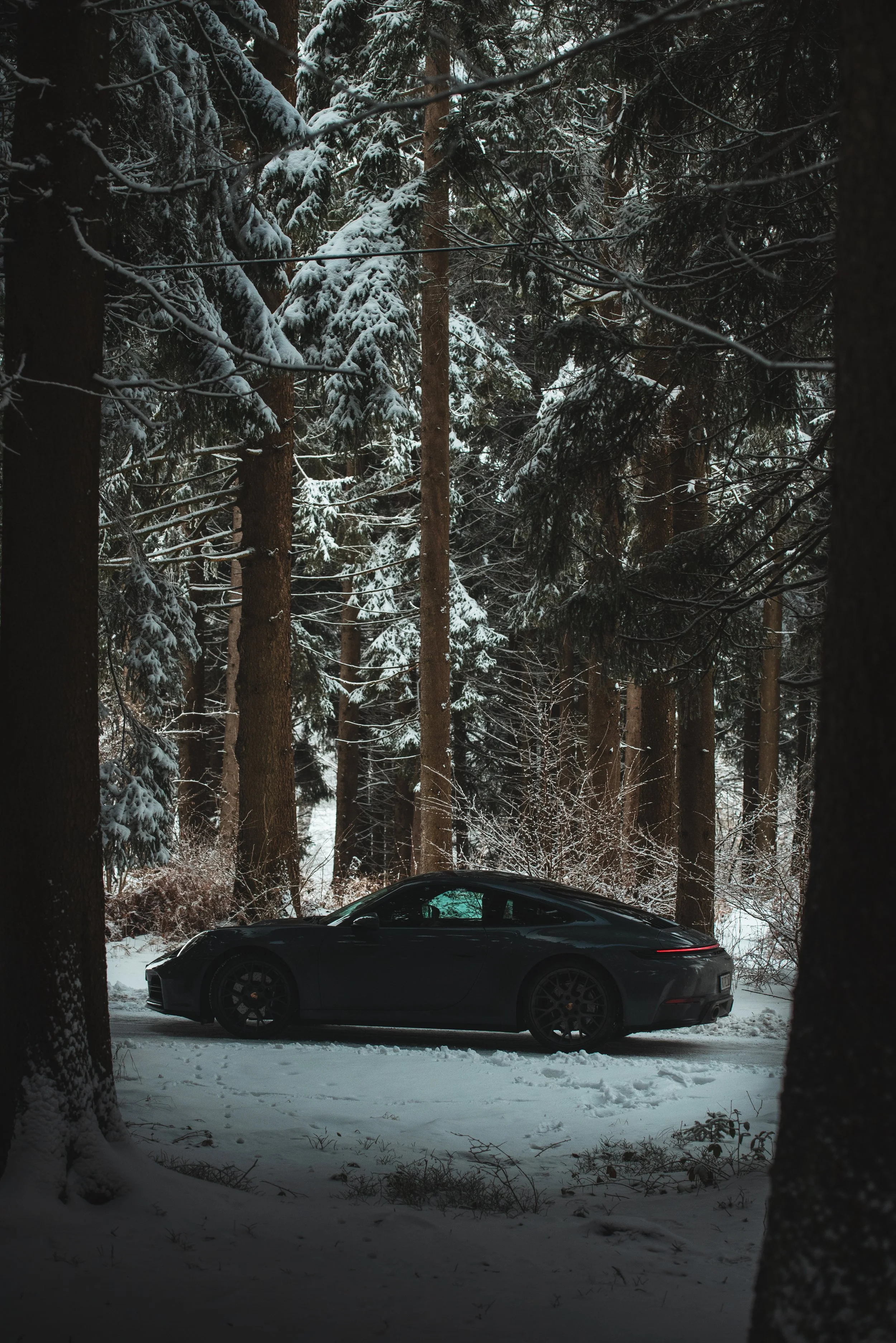 Black Porsche 911 Carrera parked on snowy road surrounded by tall pine trees in a winter forest.