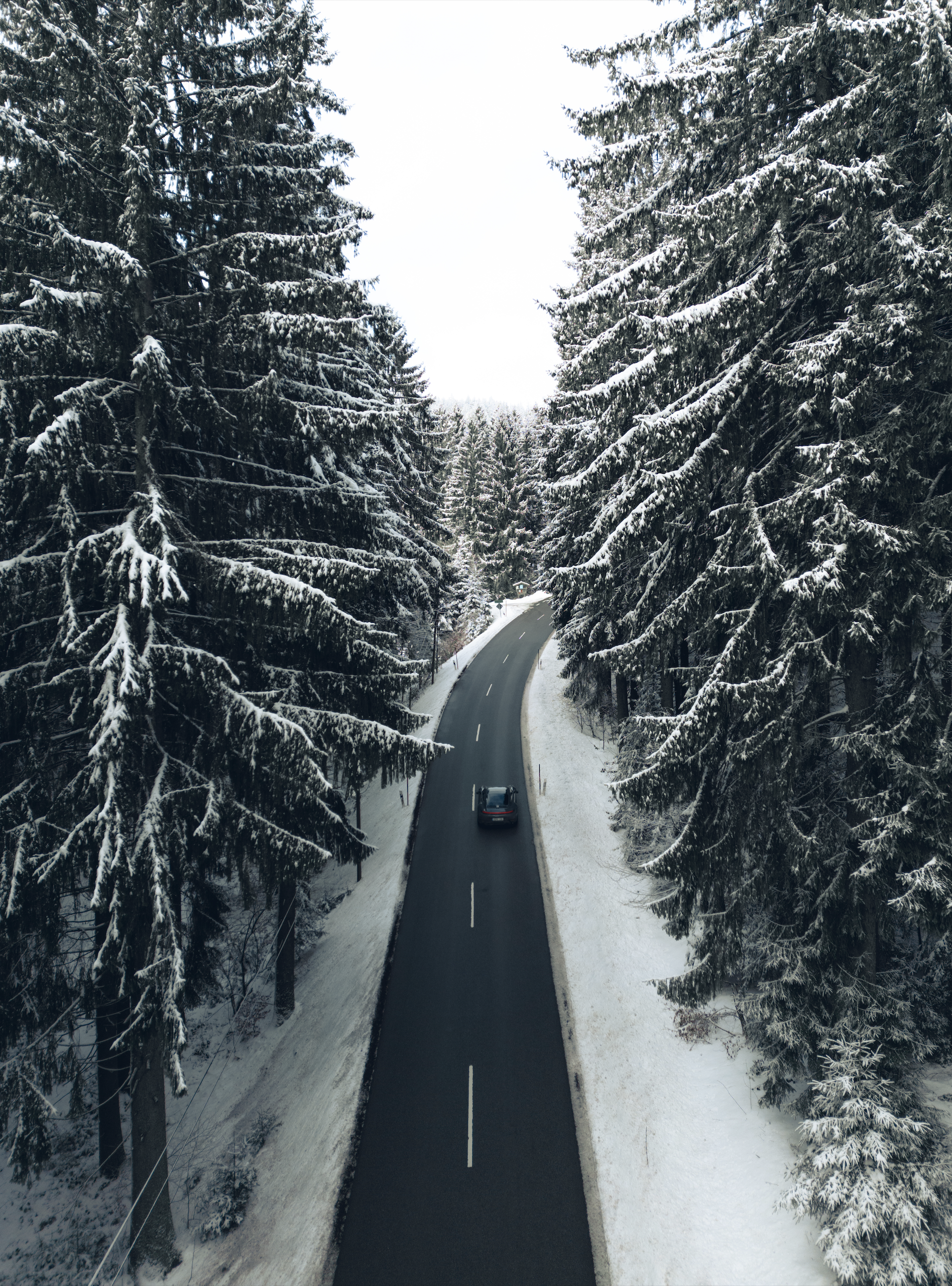 A winding road through a snowy forest with tall evergreen trees covered in snow and Porsche 911 Carrera