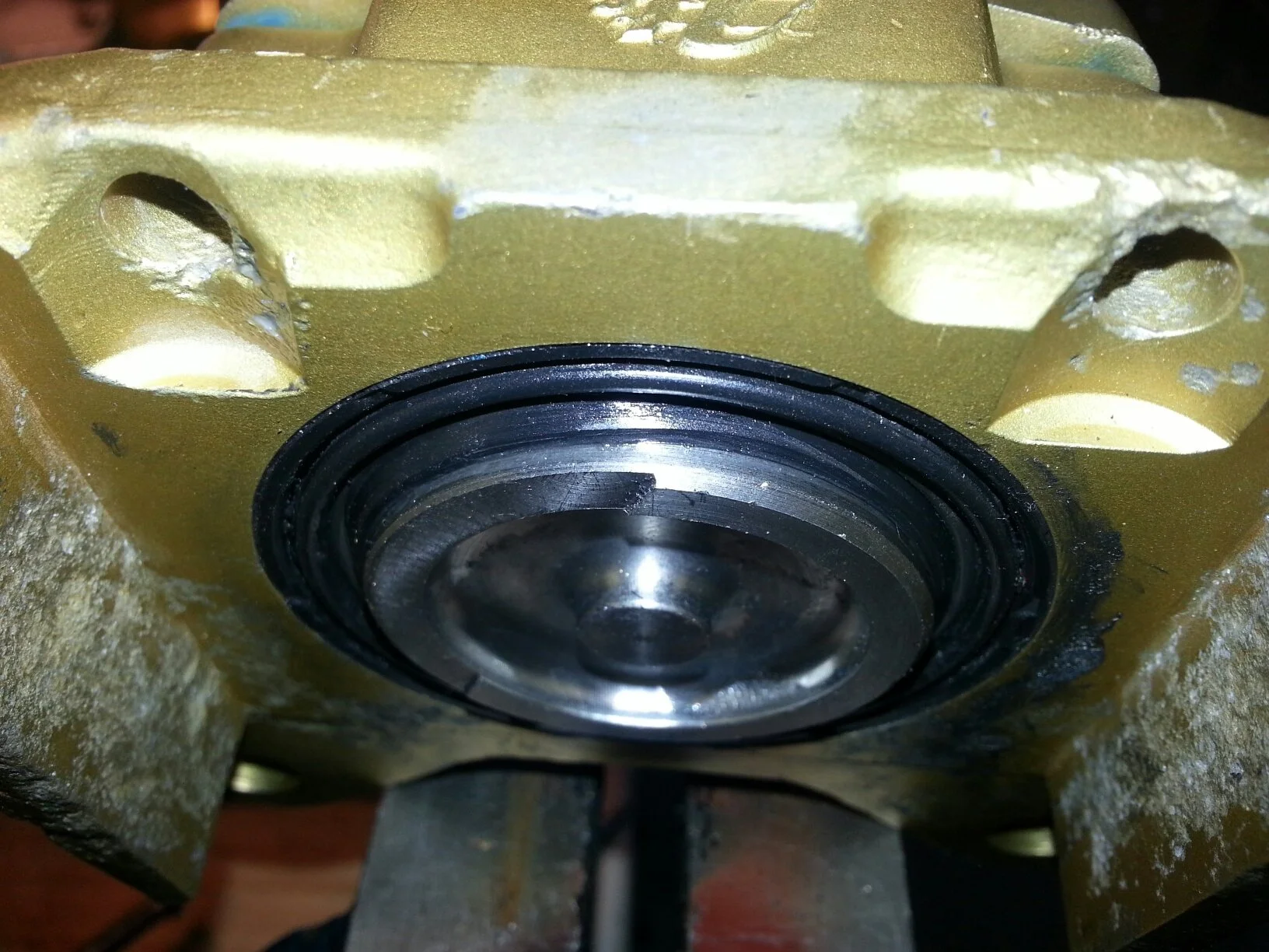 20160409_113906_resized copy.jpg