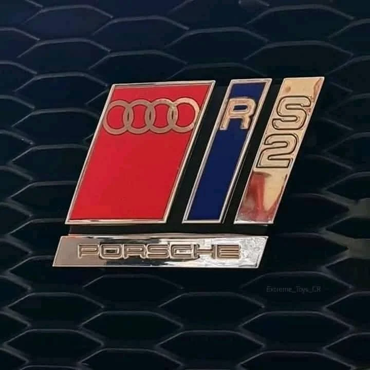 Tico12.jpeg