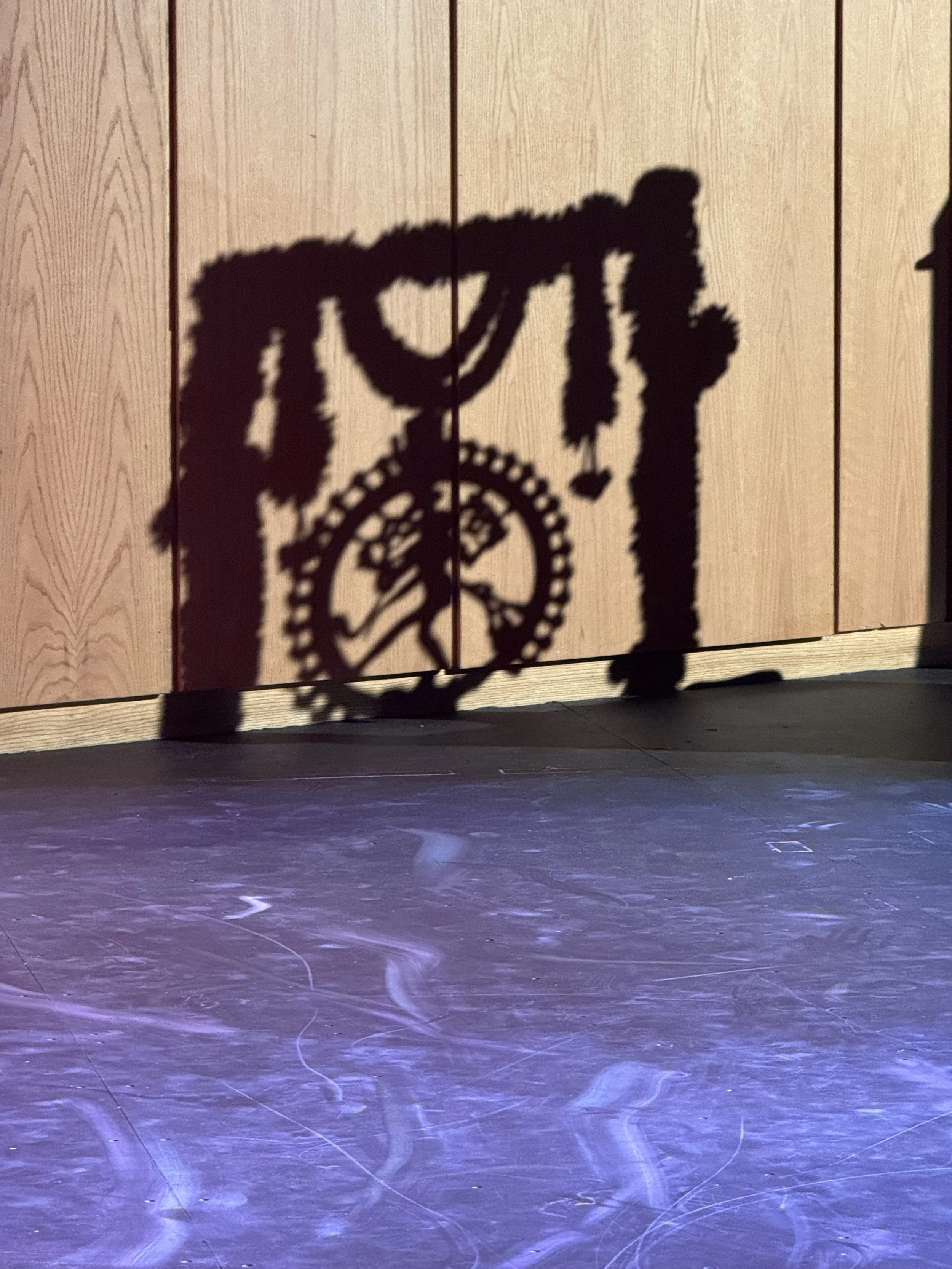 Recital #1 :  Sanjana & Soni Kumar