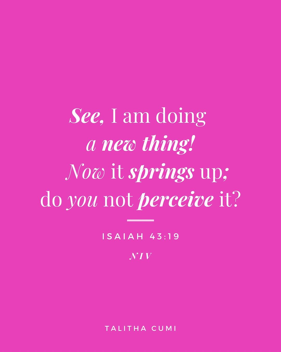 A New Thing is Happening!
STAY TUNED 👀
“See, I am doing a new thing! Now it springs up; do you not perceive it?” 🙏🏽— Isaiah 43:19
#isaiah43 #encouragement #dailyscripture