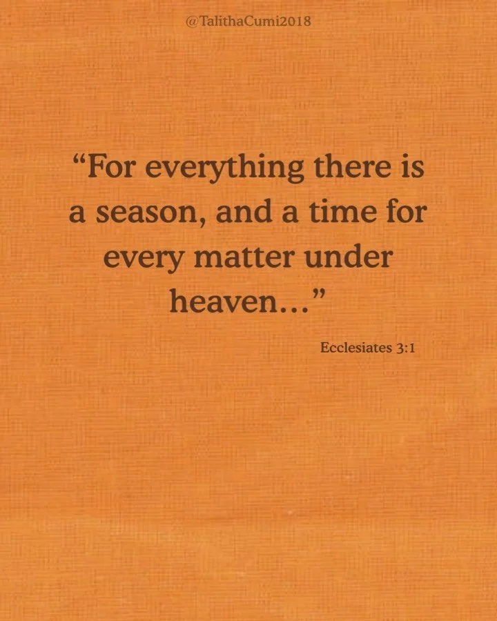 Honor the season you&rsquo;re in. Fall reminds us that there is a time to gather and a time to release. Not everything is meant to remain in our hands forever. Some things must be surrendered so we can make room for what comes next. ✨#there&rsquo;sas