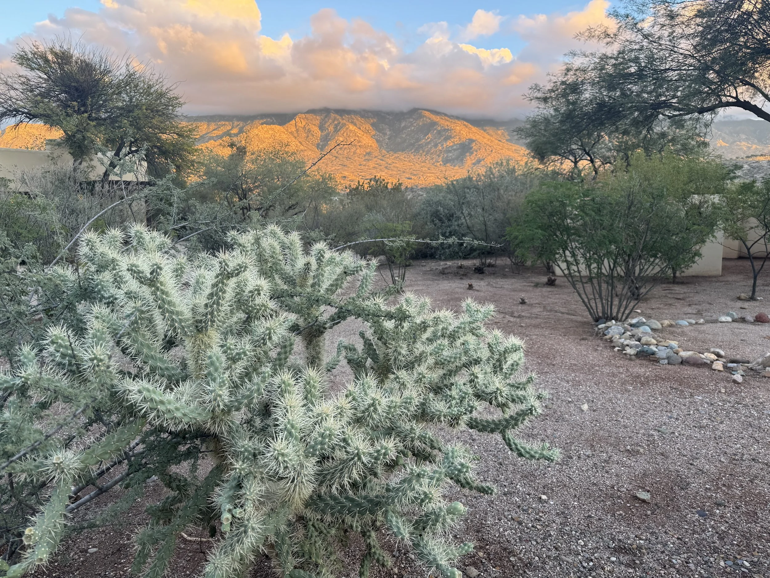 A Retreat into the Next Chapter