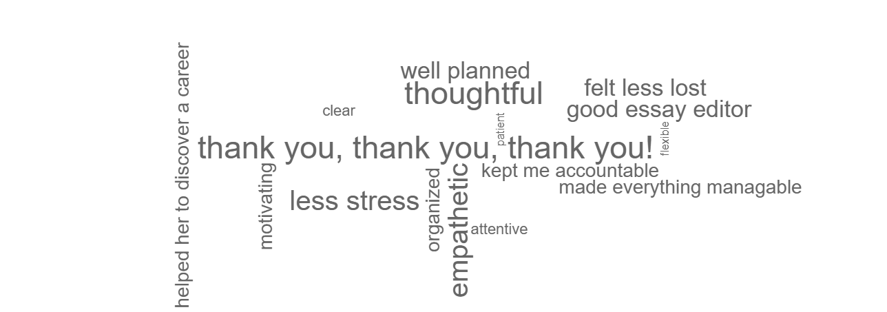 Wordcloud High Aim High Educational Consulting