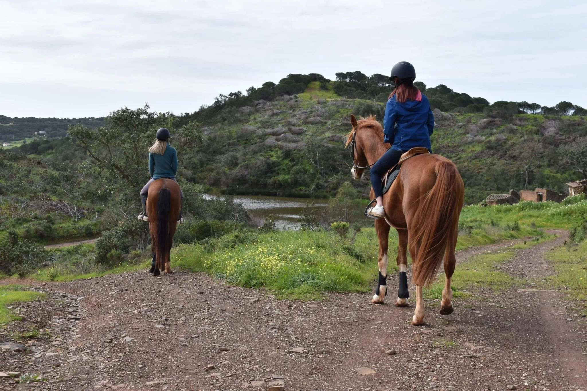 Lagos Horse Riding & Rescue, Algarve