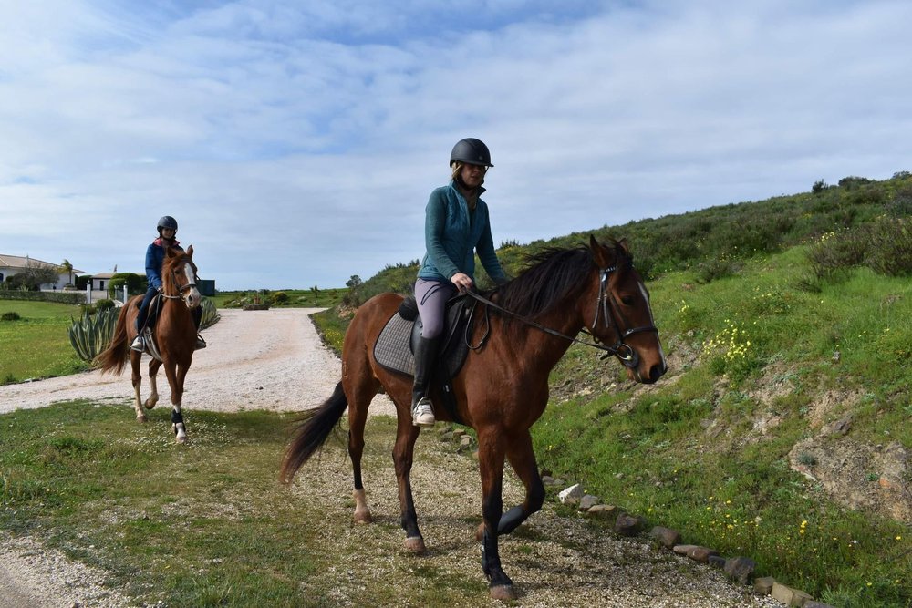 Lagos Horse Riding & Rescue, Algarve
