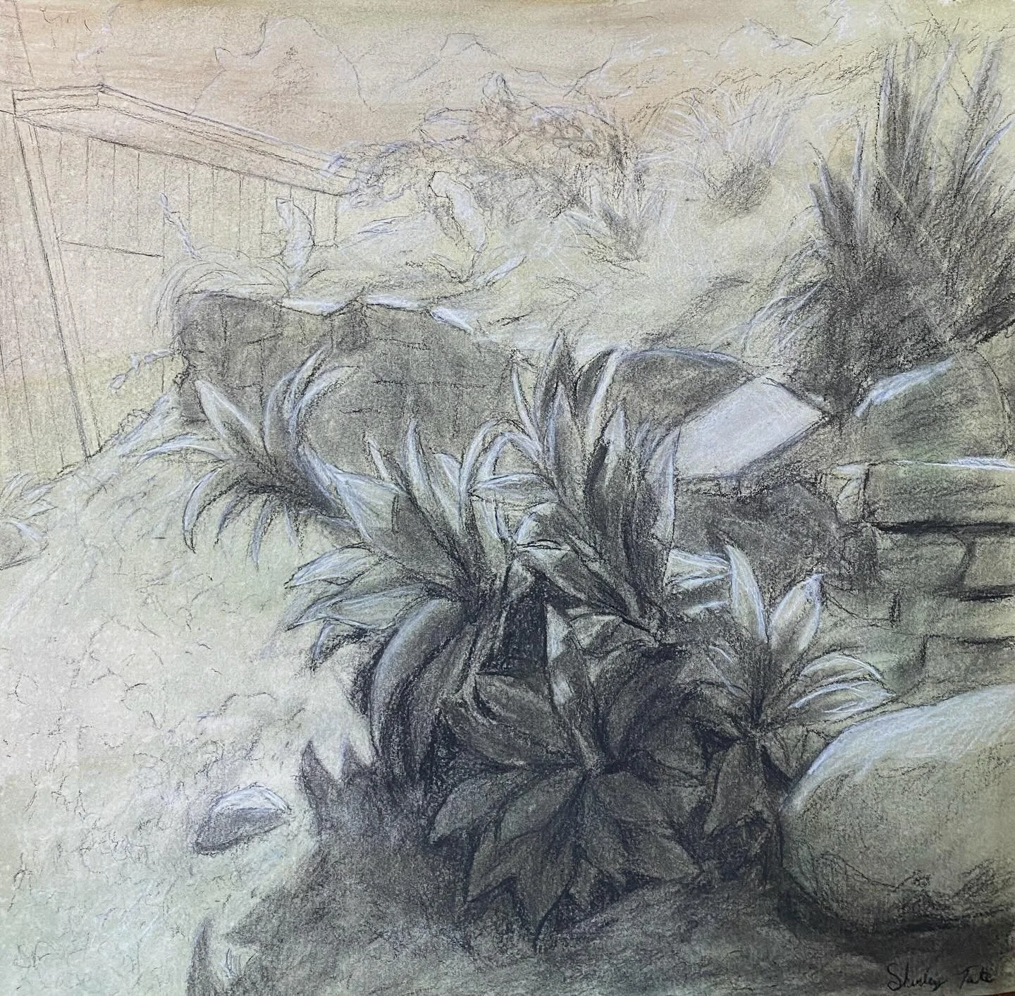 Another charcoal landscape from experimental drawing.
A glimpse of campus.

#landscape #pleinair #charcoal #charcoaldrawing #homework #artclass #artstudent #artlearning #drawing #art #outdoorart #sketch #arttime