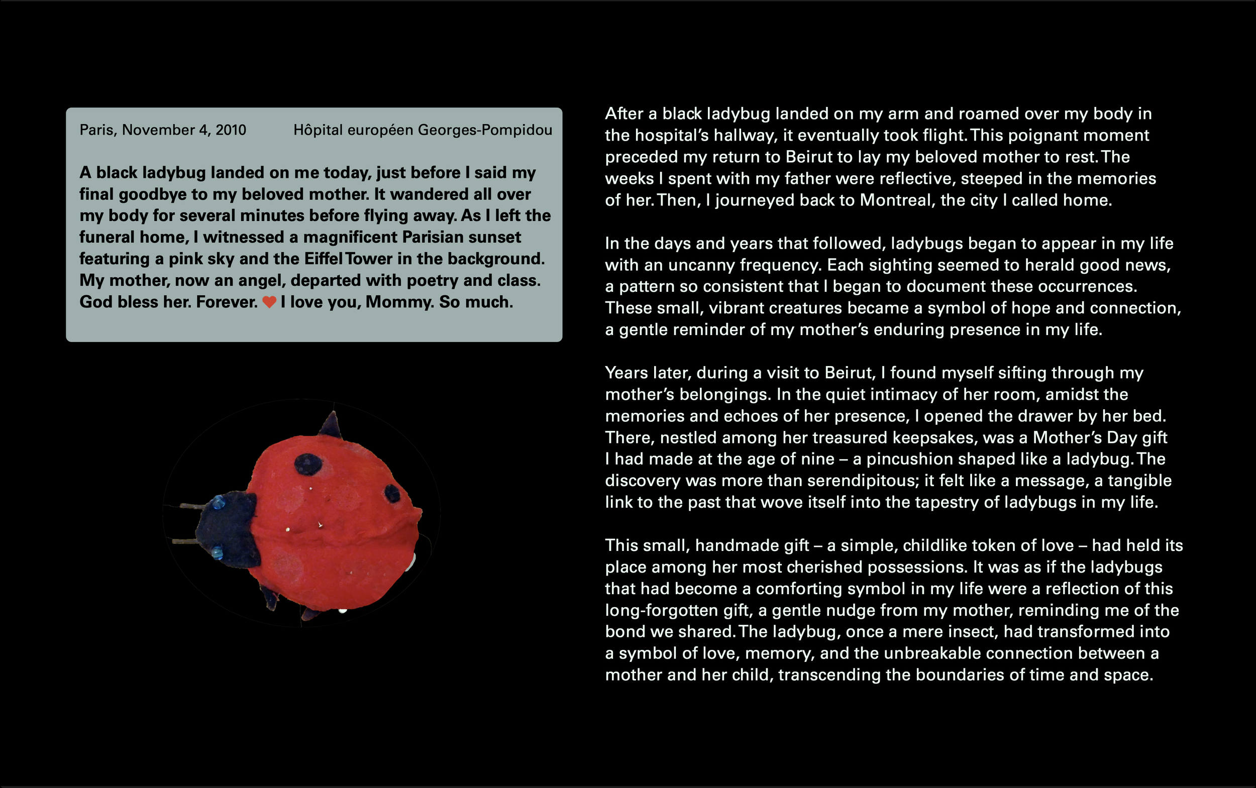 Screenshot 2024-01-25 at 03.24.10.png