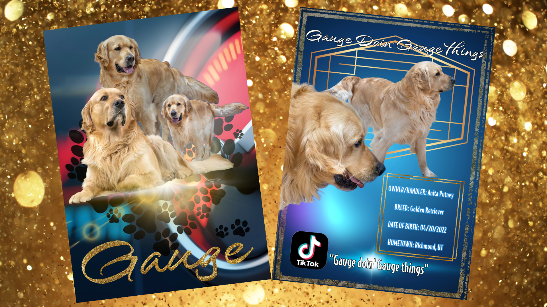 Gauge Trading Card.png