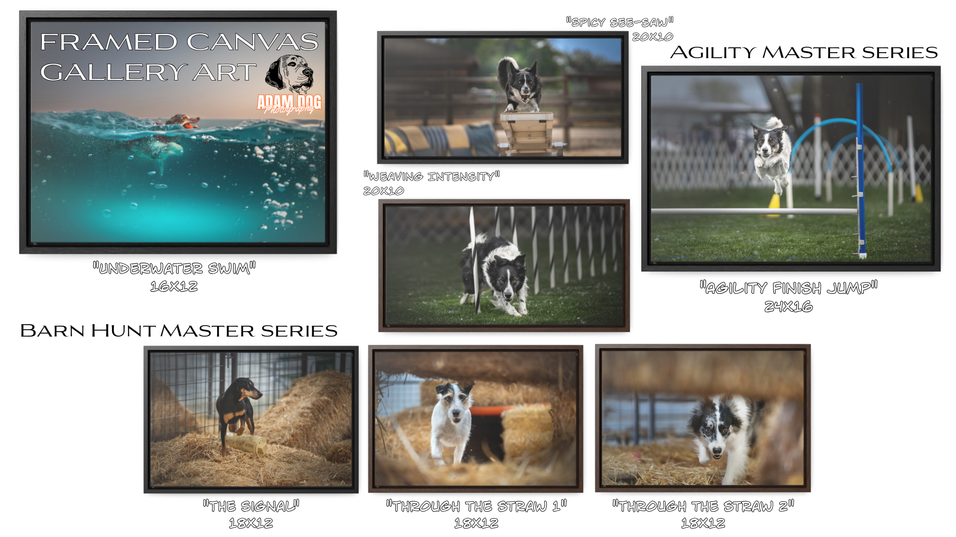 Collage of framed dog-themed canvas art, including photos of dogs swimming, performing agility tasks, and navigating barn hunt courses. Titles include "Underwater Swim," "Spicy See-Saw," "Weaving Intensity," "Agility Finish Jump," "The Signal," "Through the Straw 1," and "Through the Straw 2."