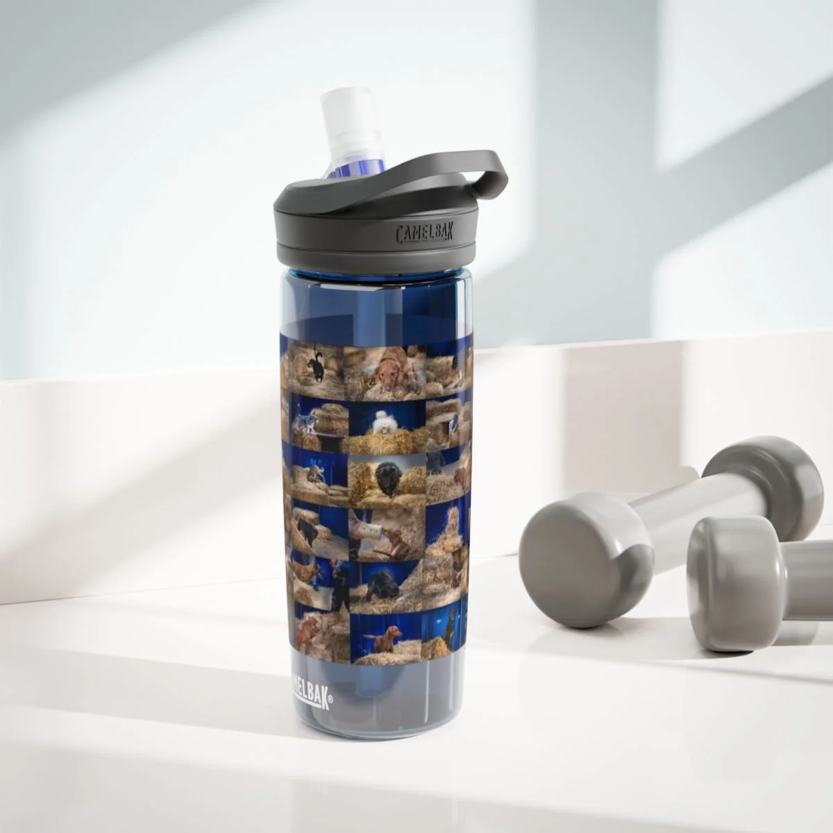 CamelBak water bottle with dog photos and gray dumbbells on a countertop