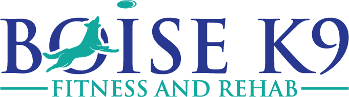 Boise K9 Fitness and Rehab logo featuring a silhouette of a dog jumping towards a frisbee.