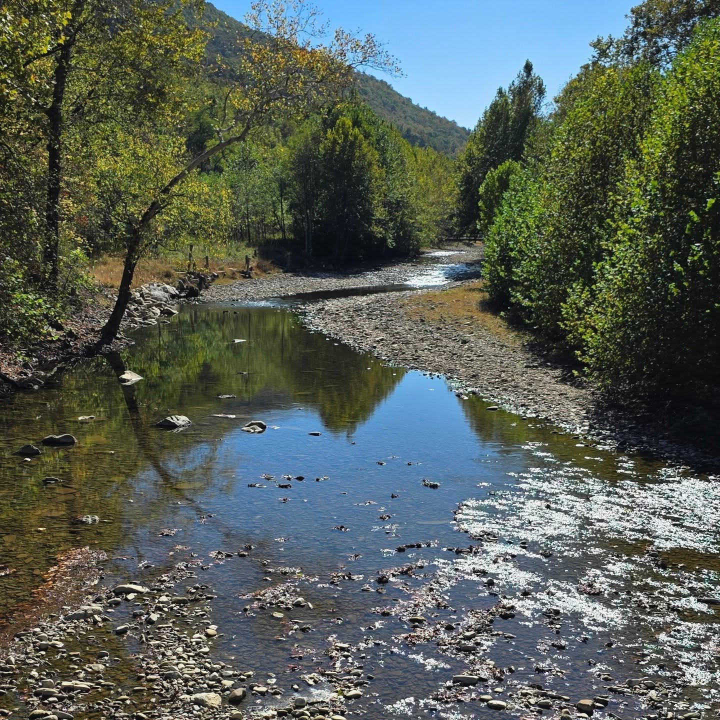 This is the North Fork South Branch Potomac River. Extremely skinny, we can all use a lot of rain for a fall season. #rain #toolow #trout #raindance #wv