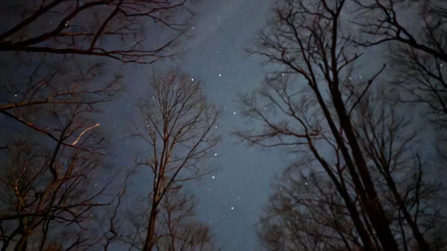 Celestial evening from the back deck. We have the Big Dipper, planets, stars, and the moon. All shot with Samsung 25 ultra S. The moon shot was shot with 30x telezoom. I am no professional at all. #galaxy #moon #clarionriver #backyard