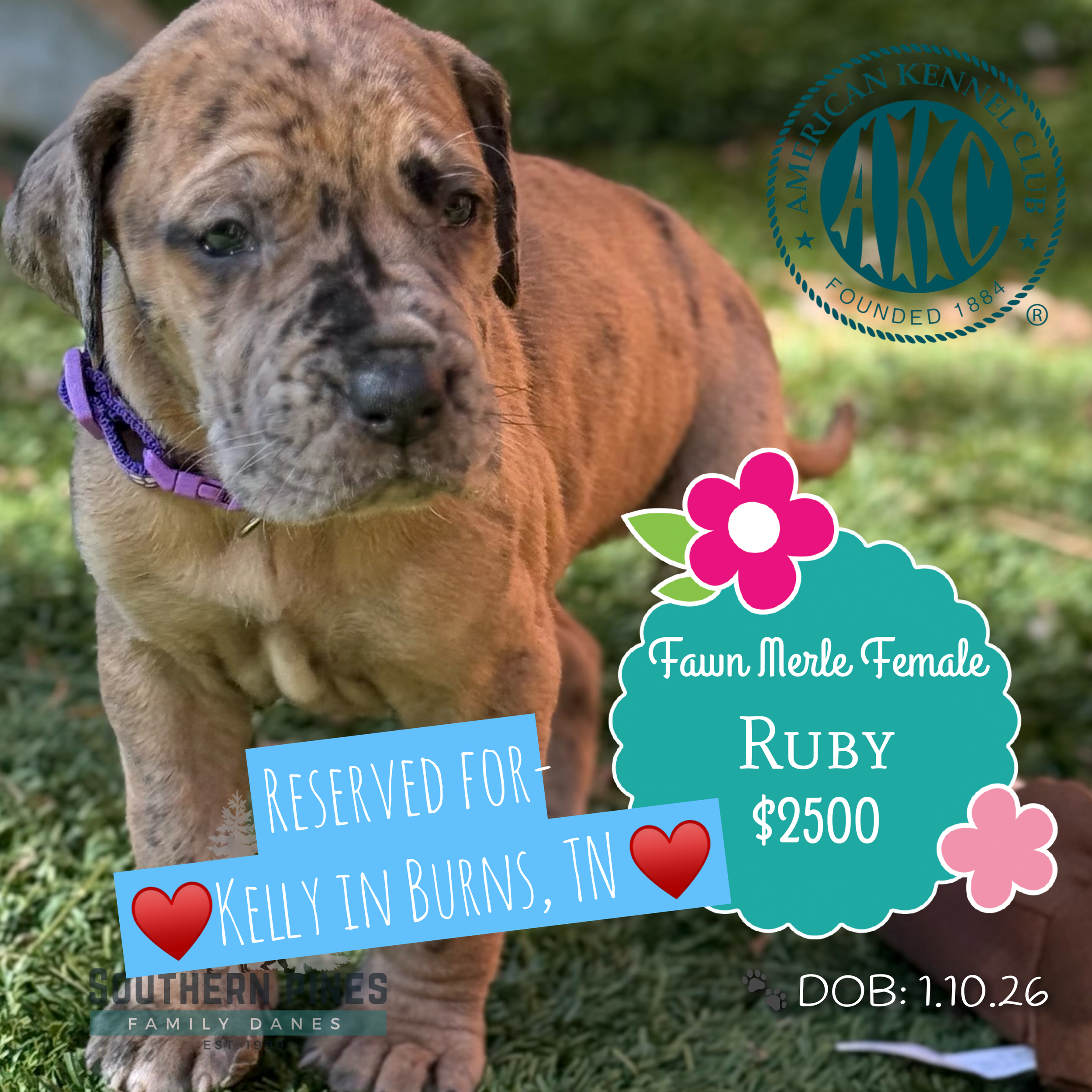 Ruby is Reserved