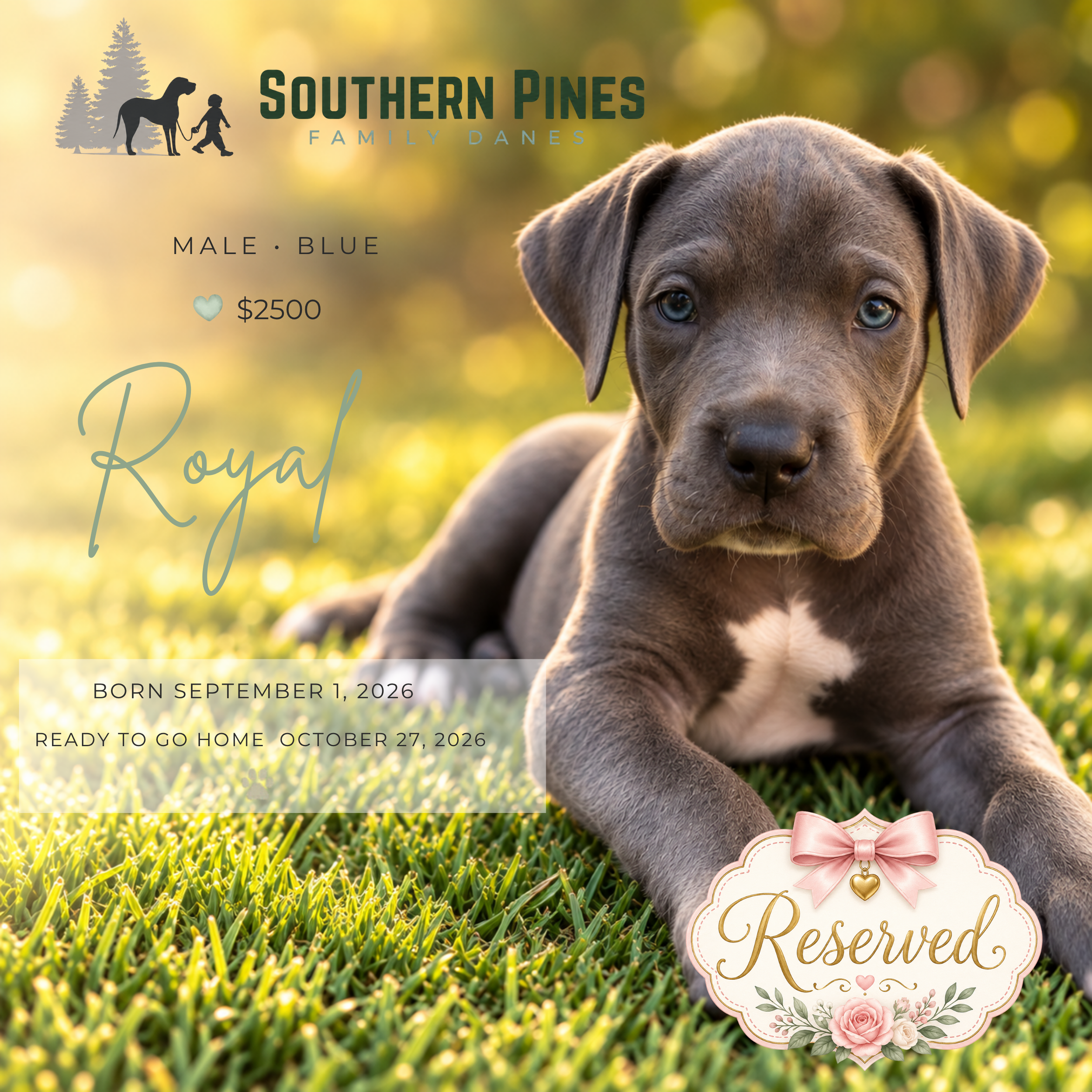 Royal (Reserved)