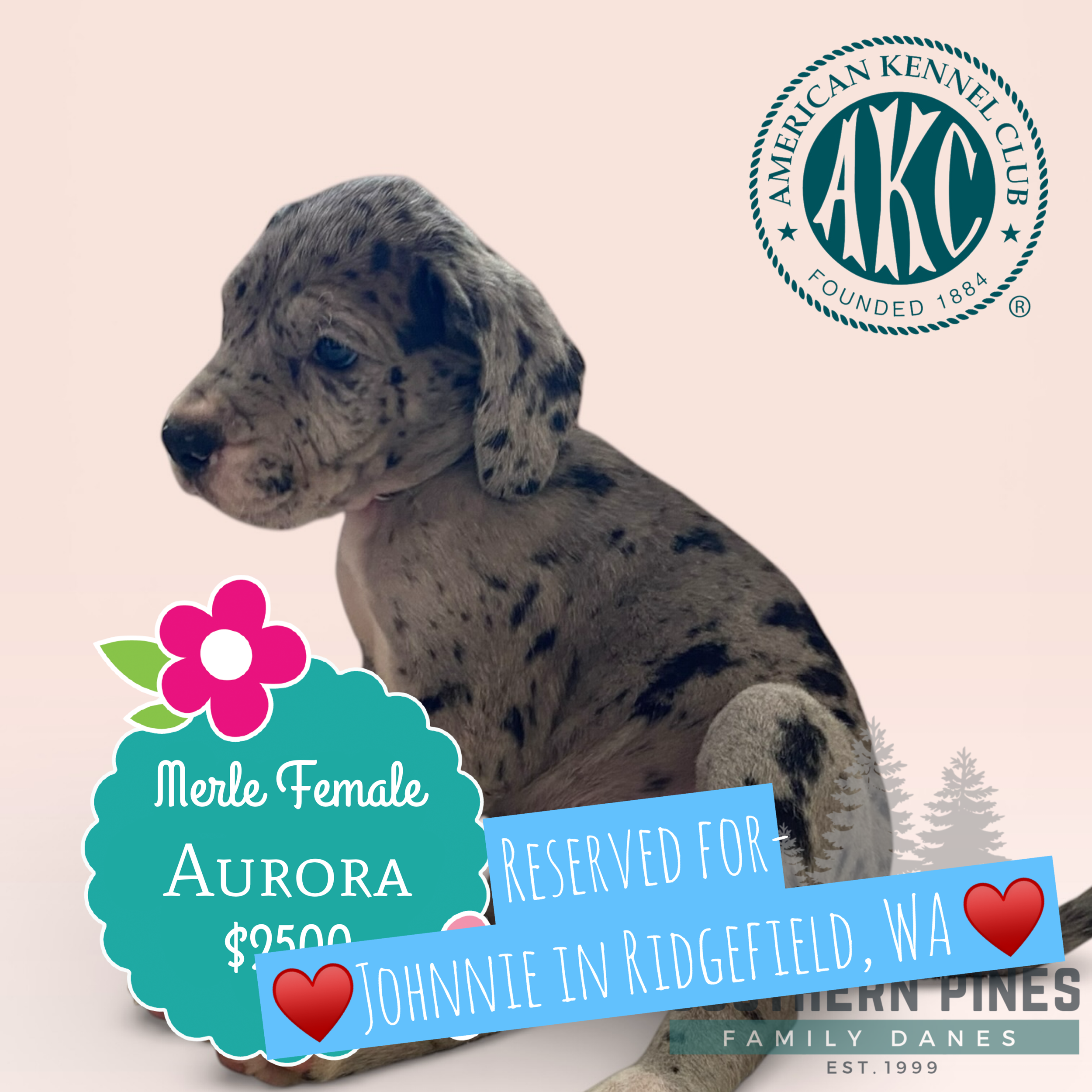 Aurora is Reserved