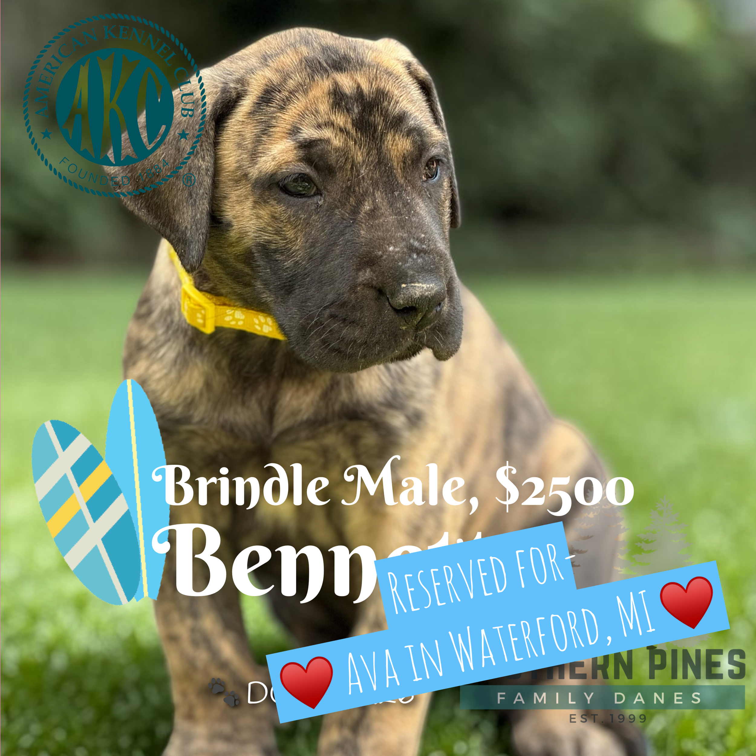 Bennett is Reserved