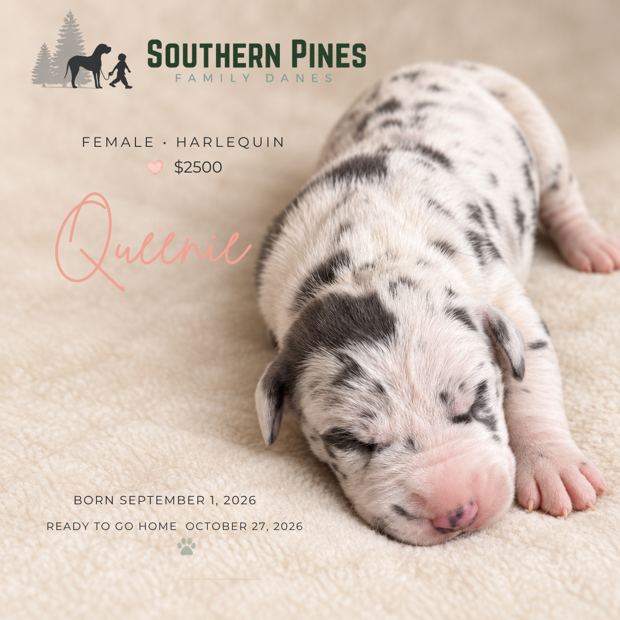 Queenie