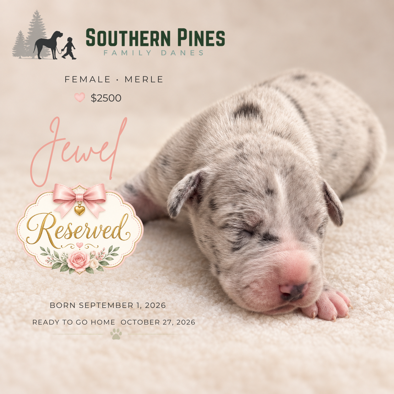 Jewel (Reserved)