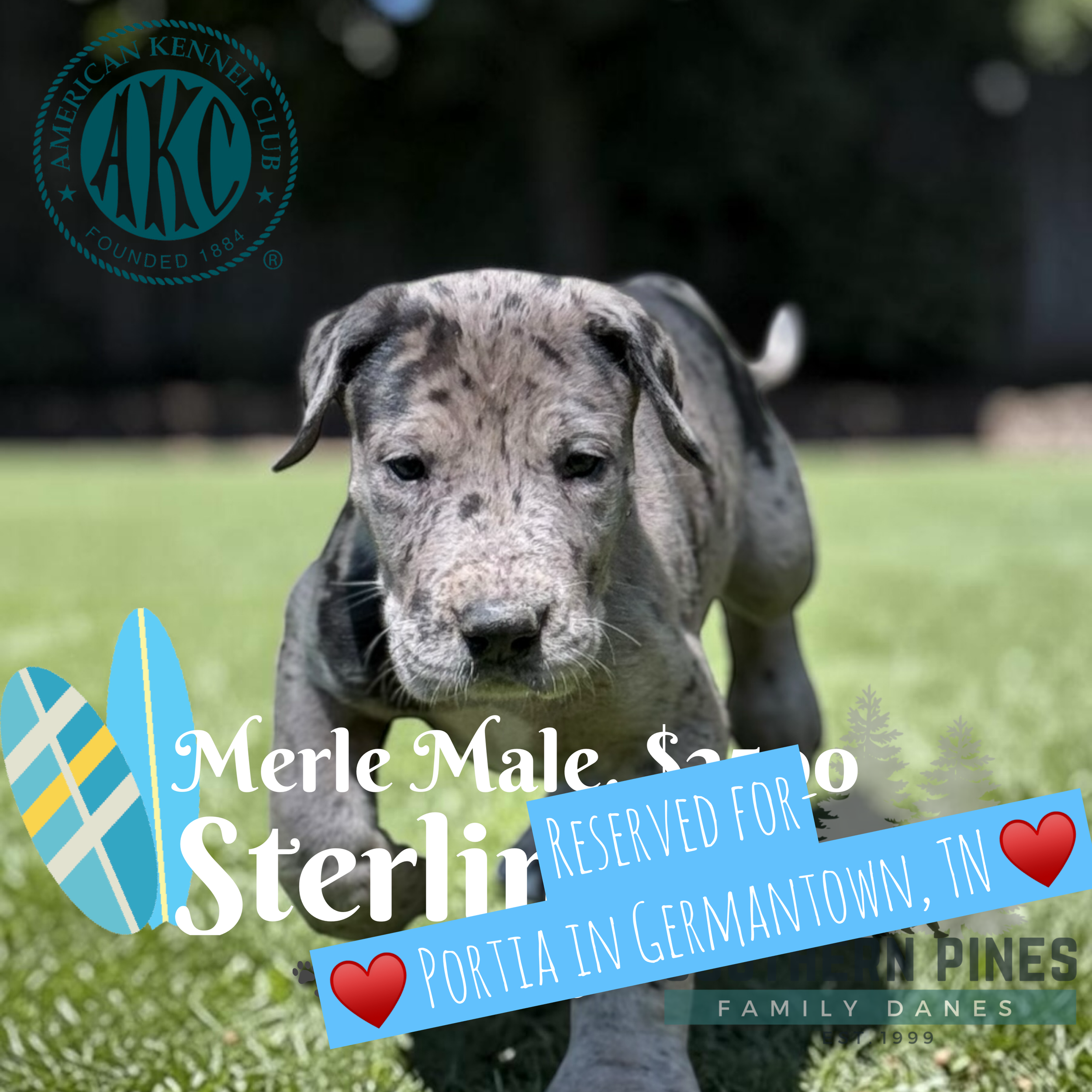 Sterling is Reserved