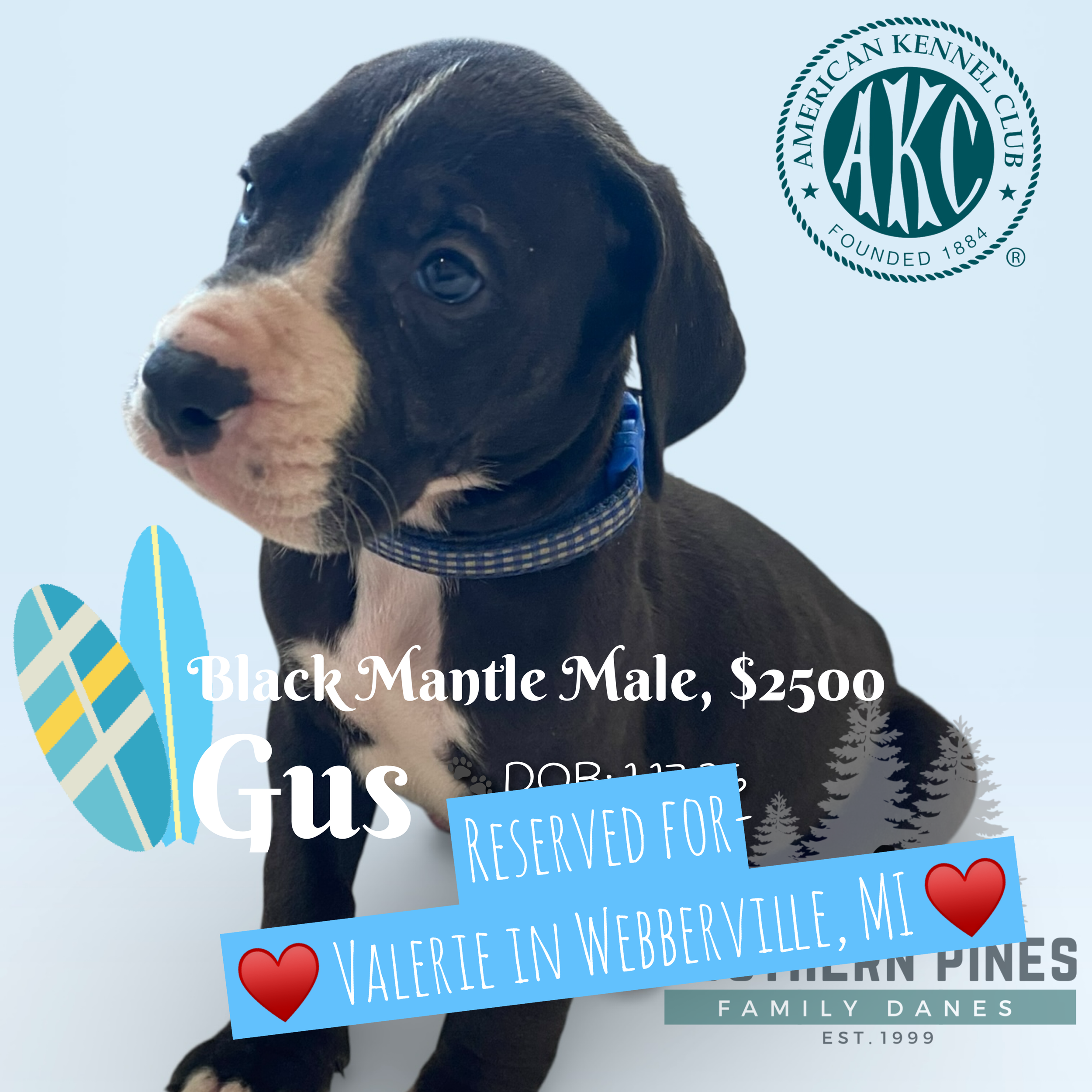 Gus is Reserved
