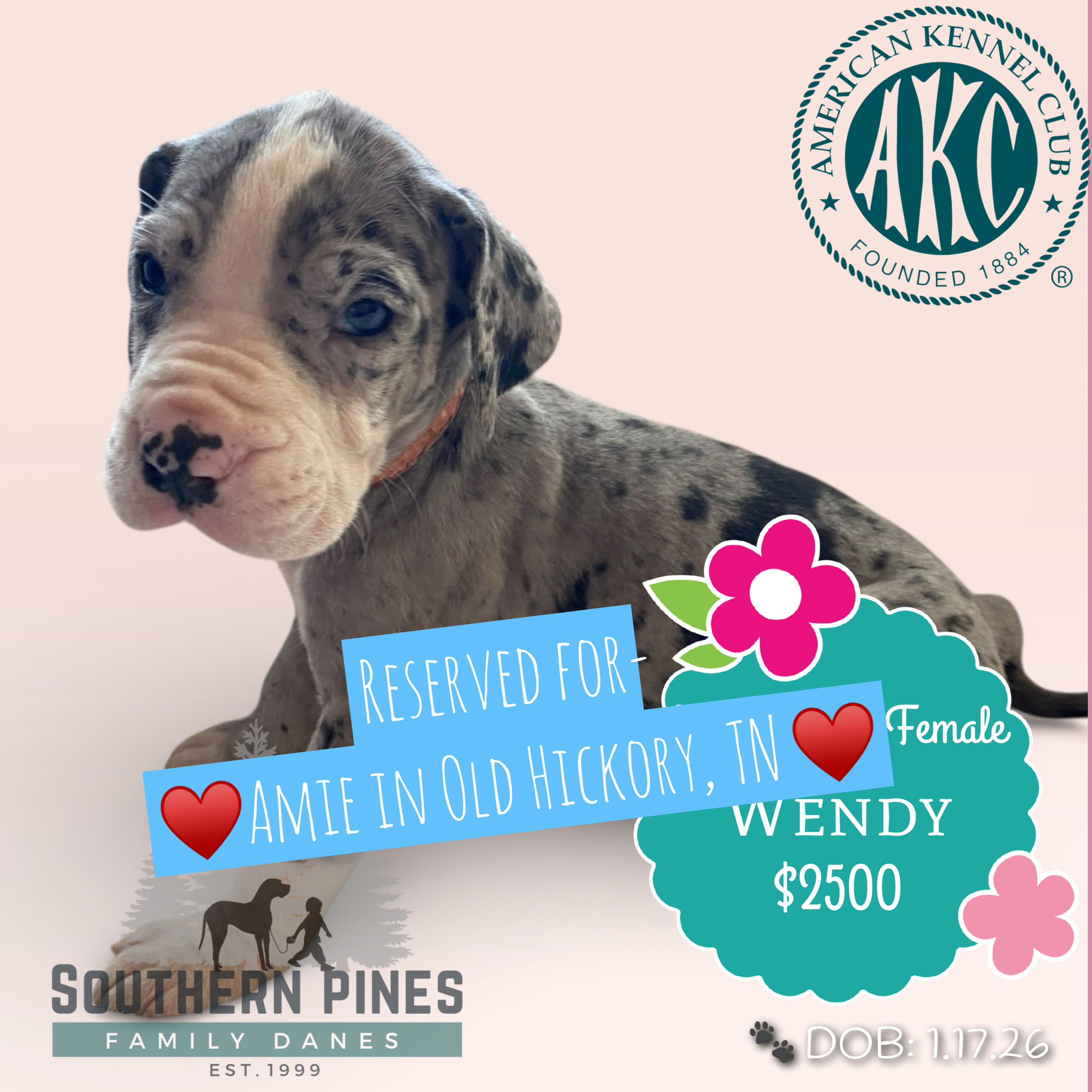 Wendy is Reserved