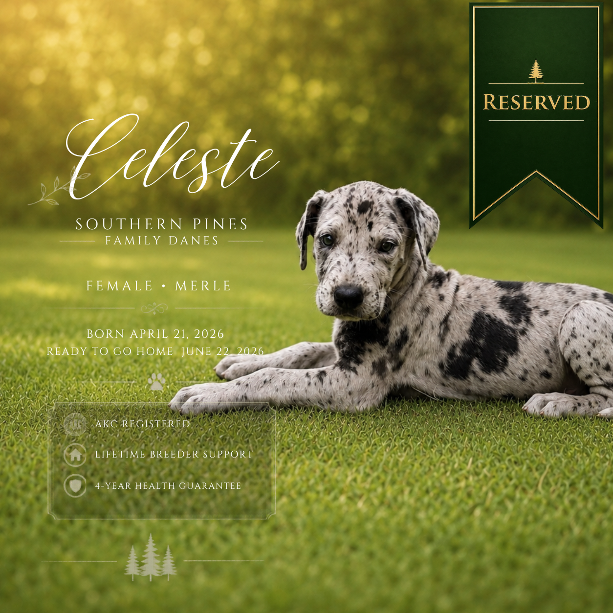 Celeste is Reserved