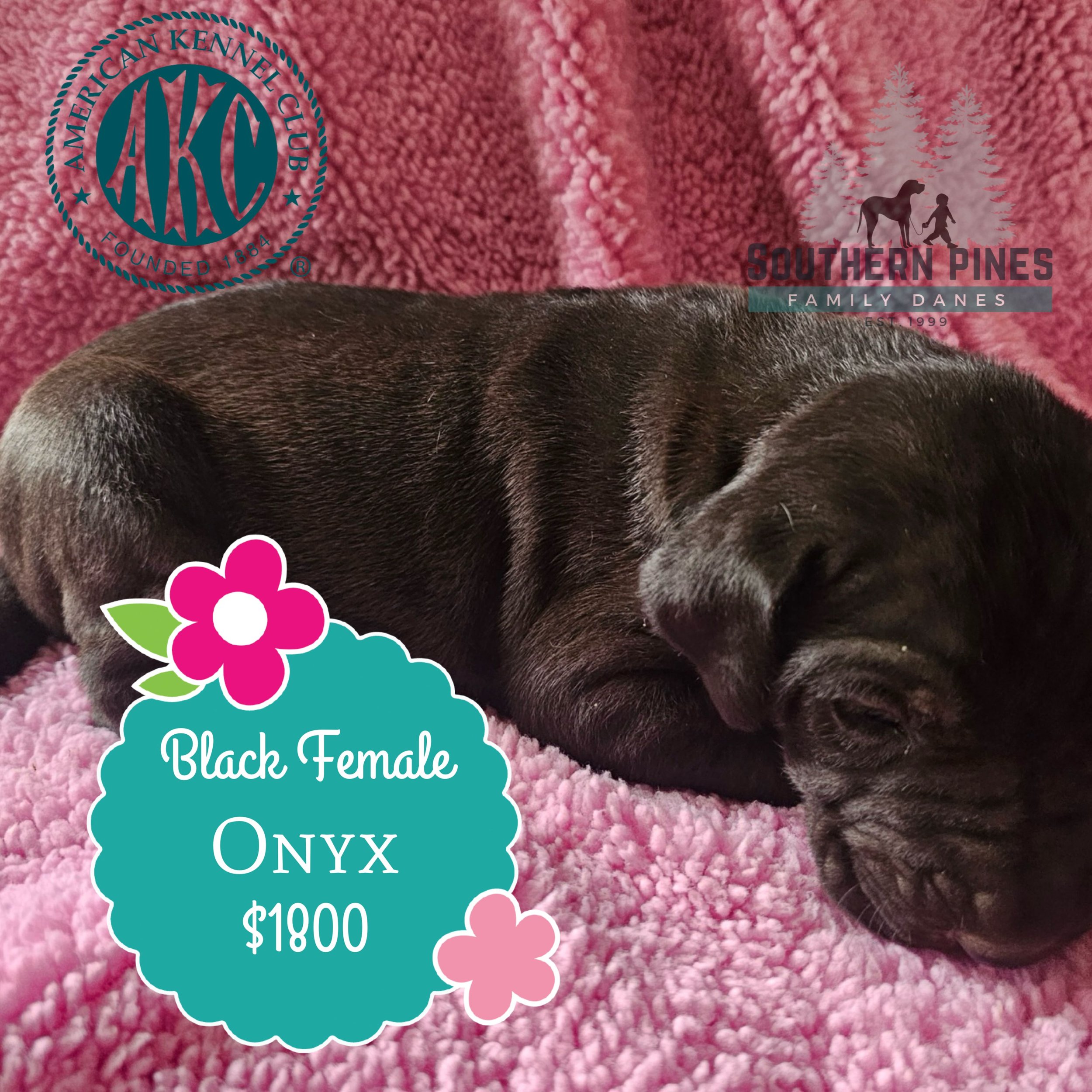 Onyx