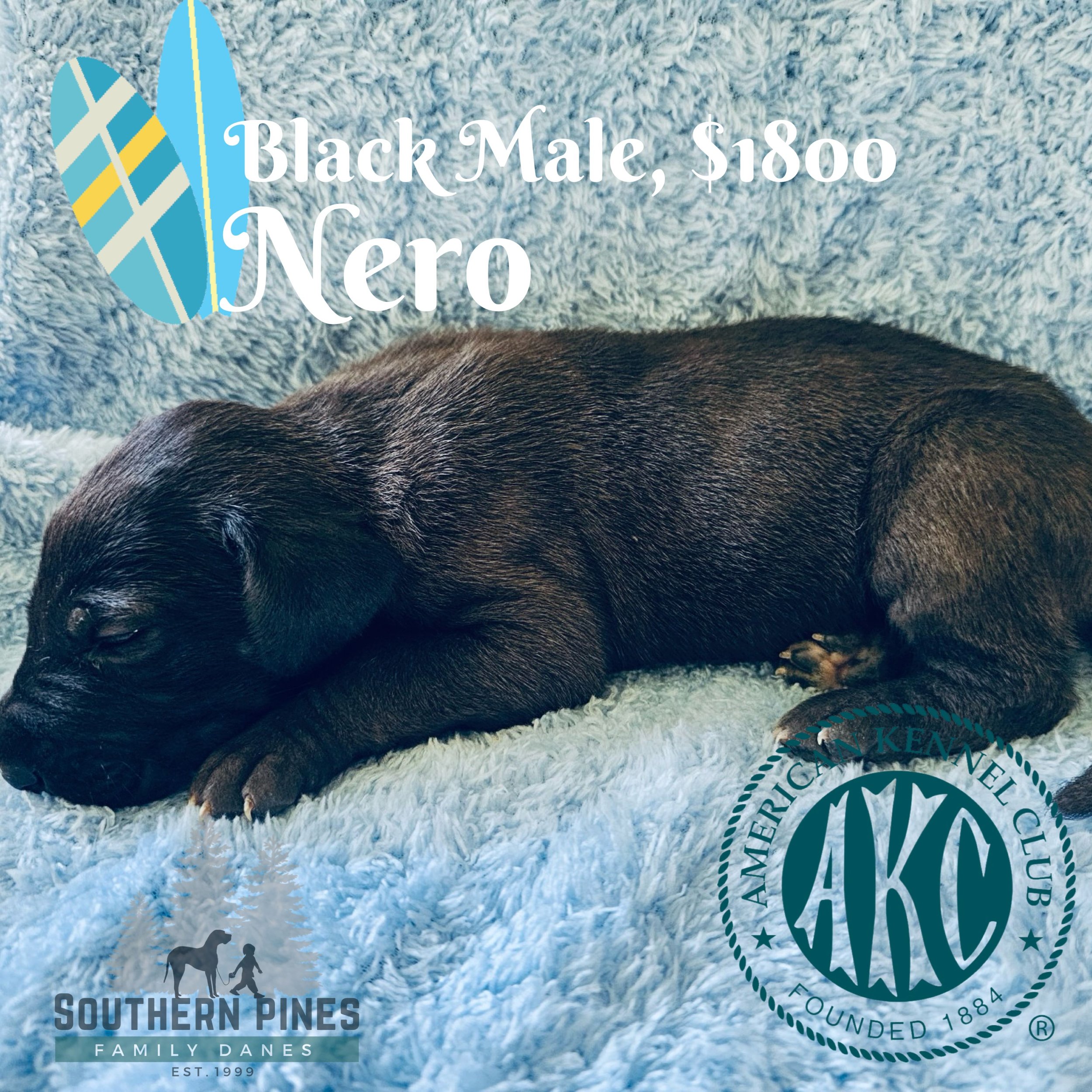 Nero