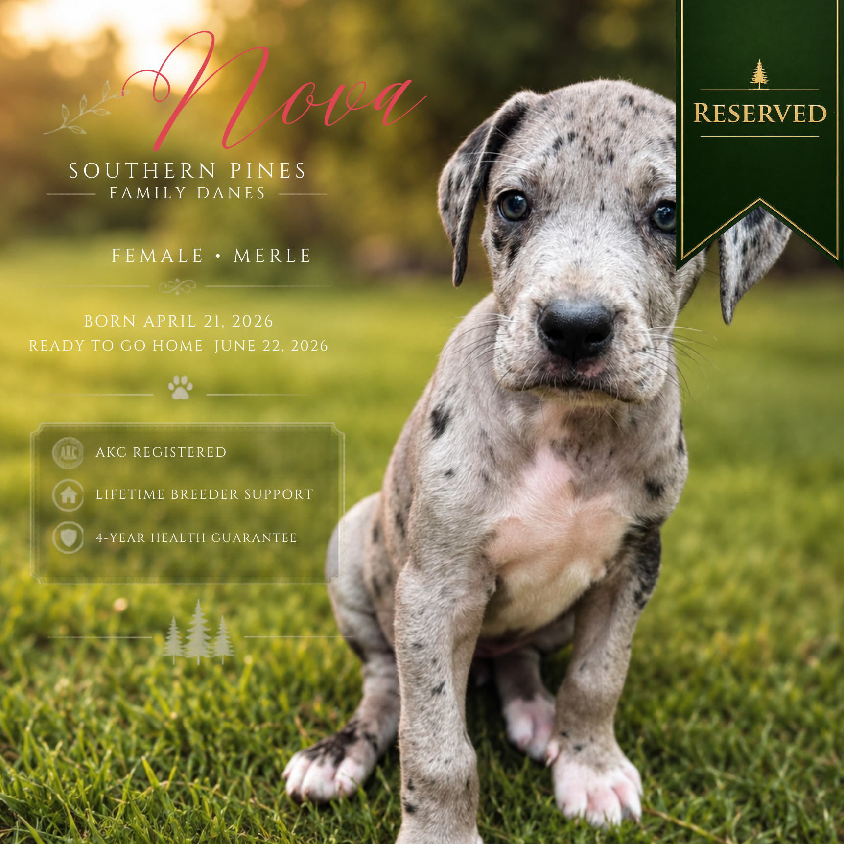 Nova is Reserved