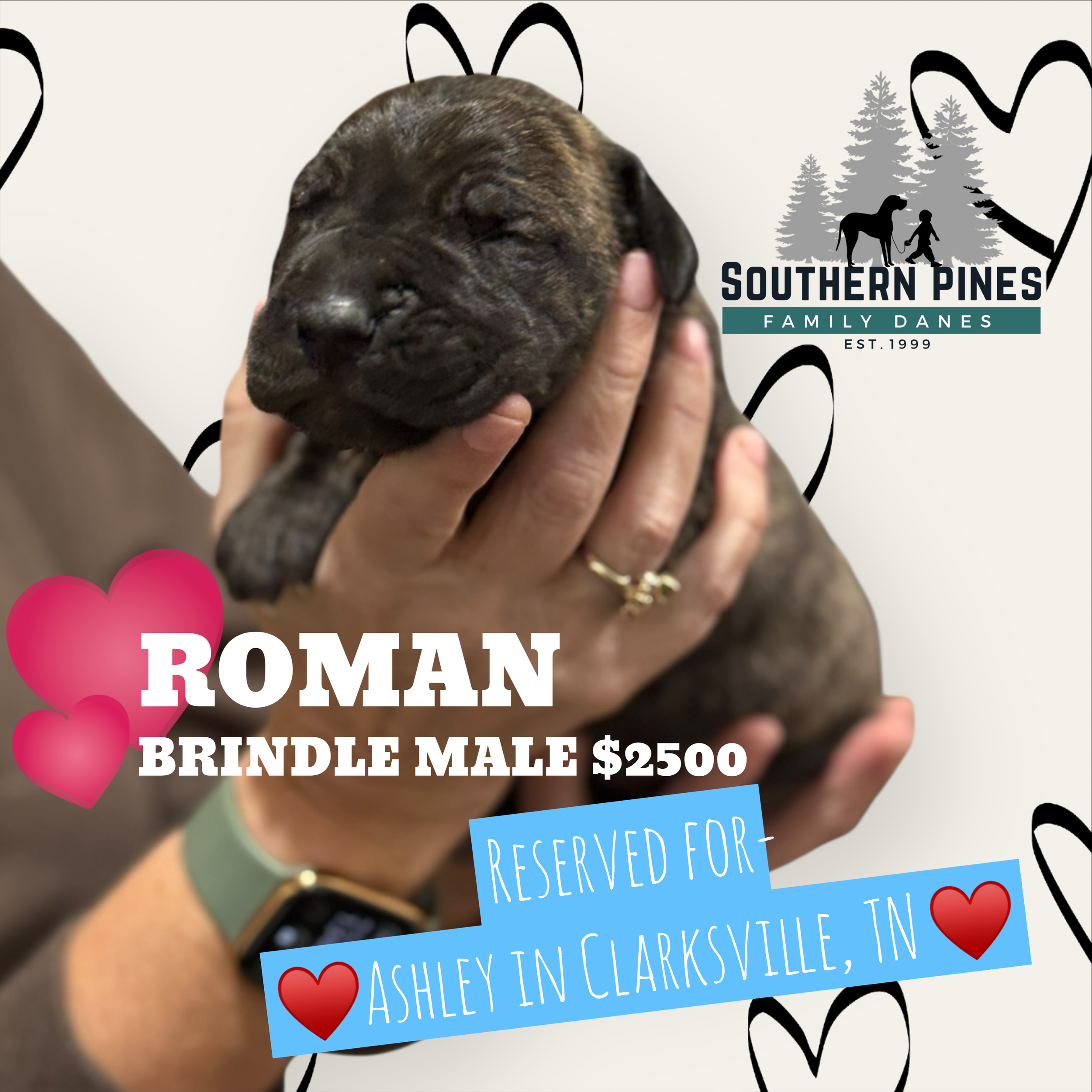Roman is Reserved