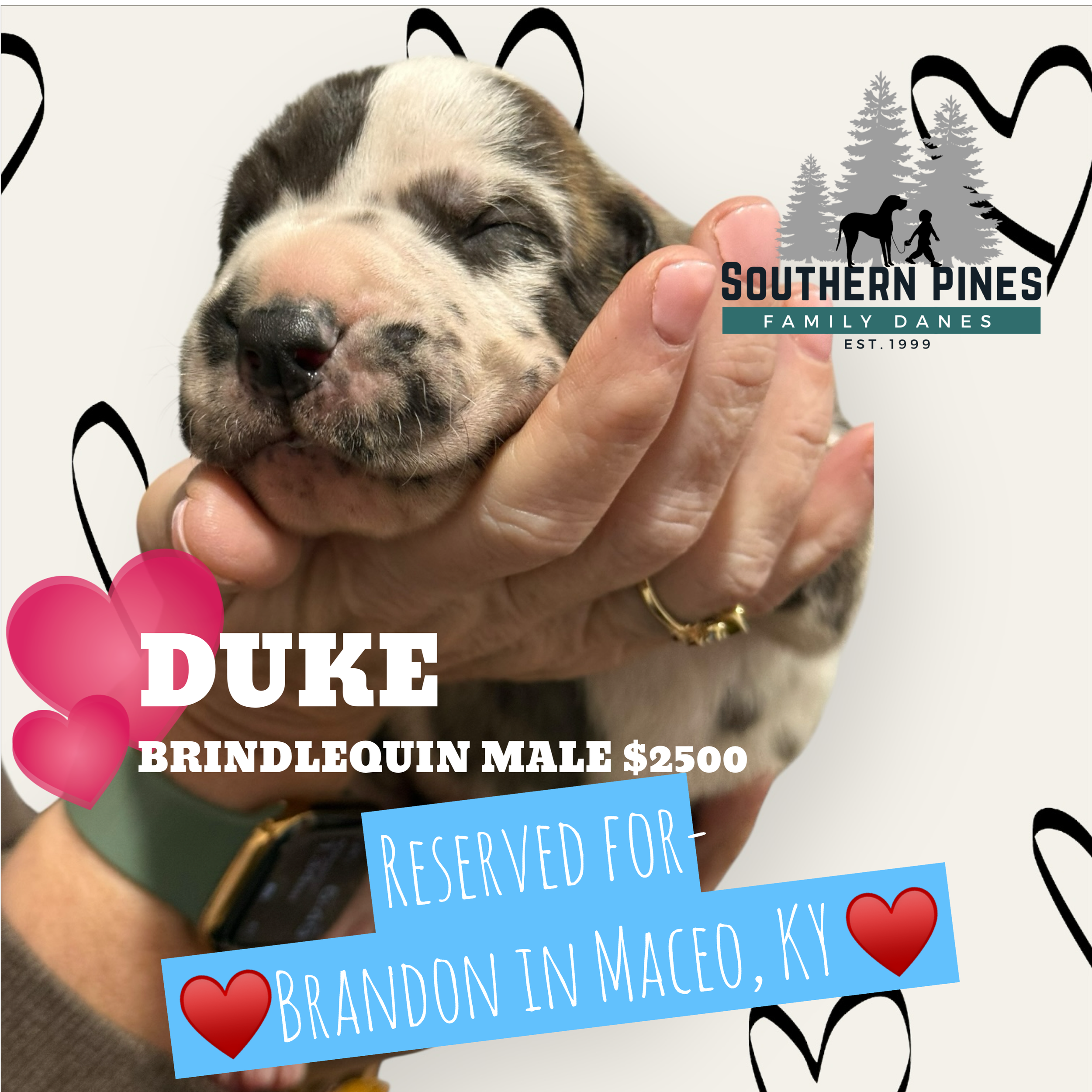 Duke is Reserved