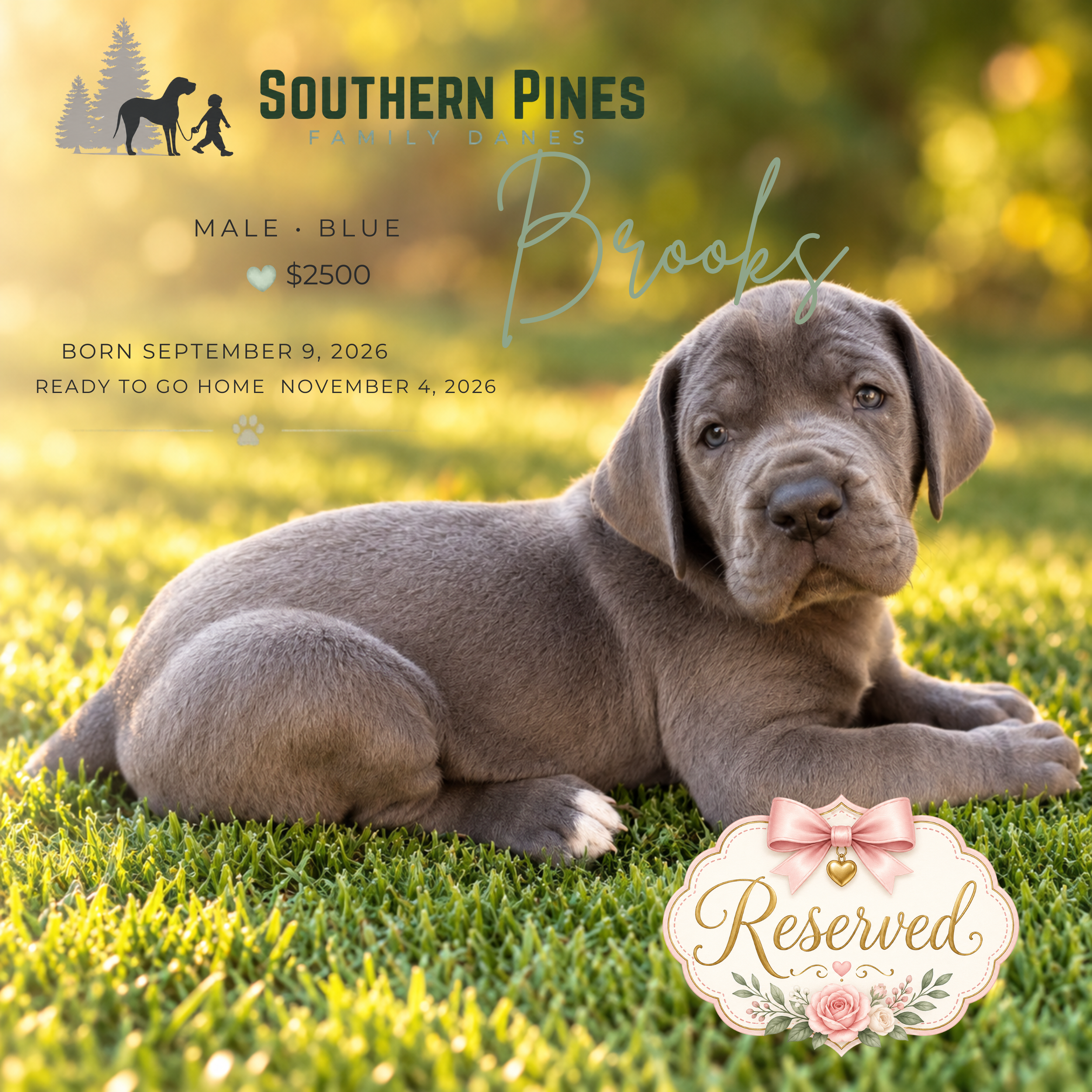 Brooks (Reserved)