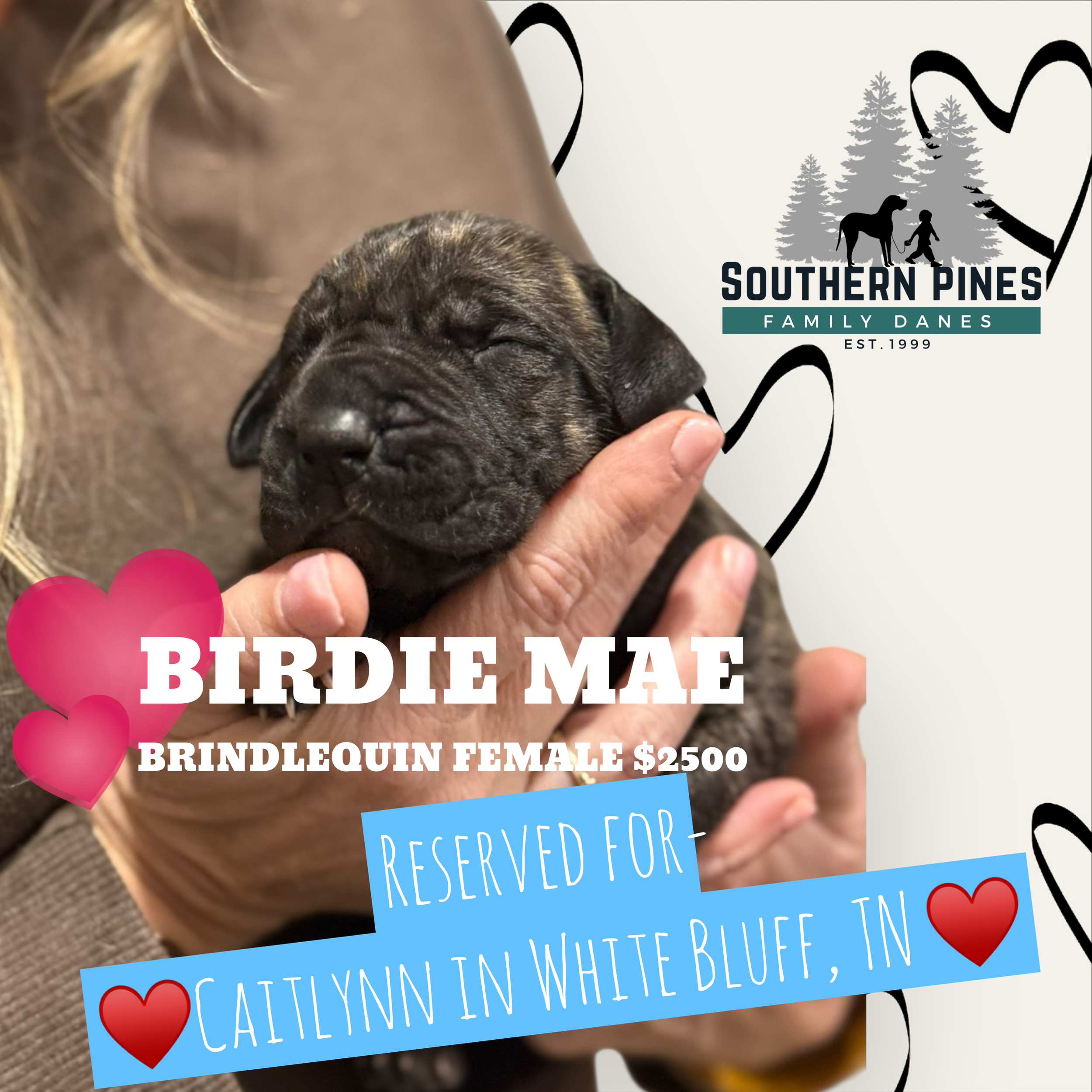 Birdie Mae is Reserved