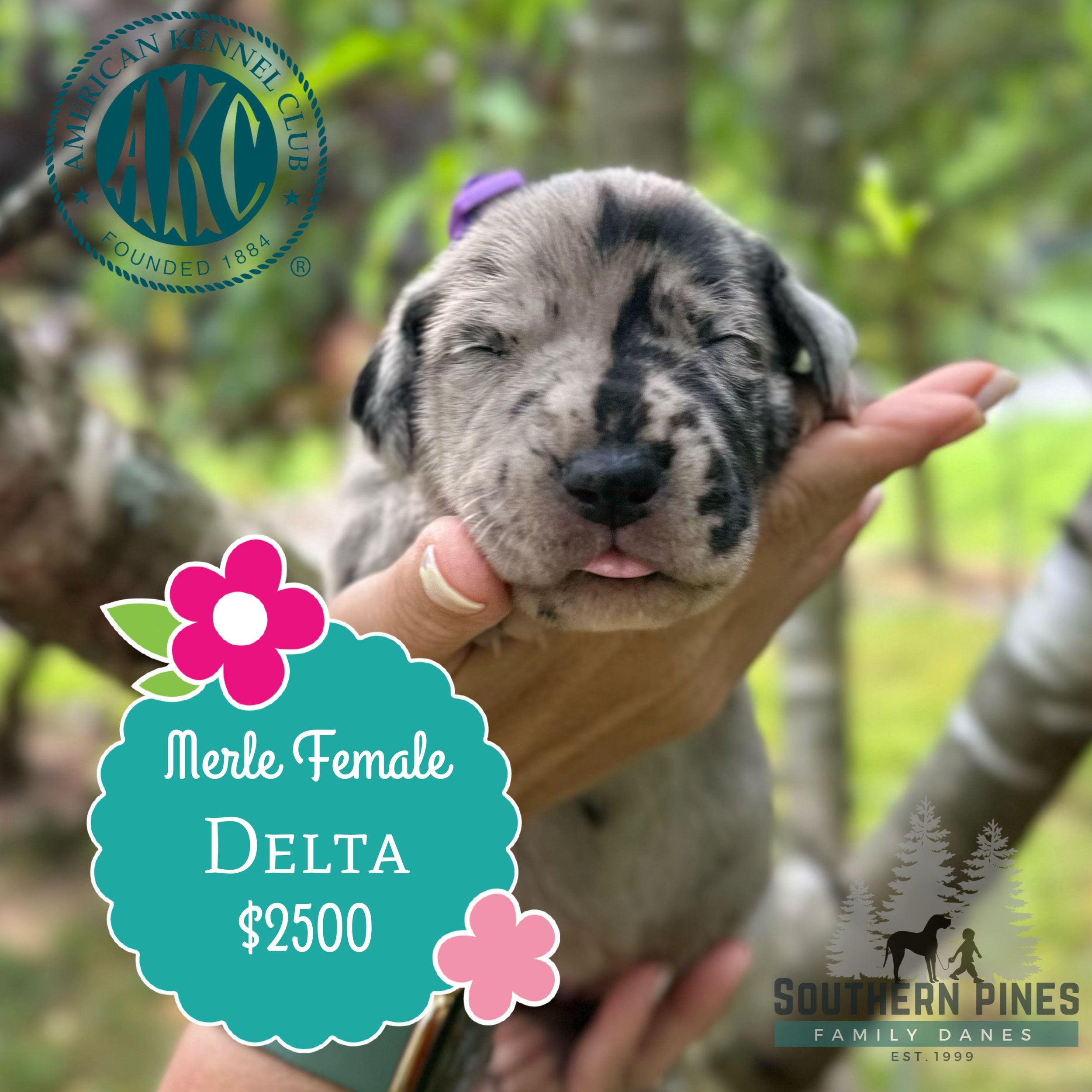 Delta