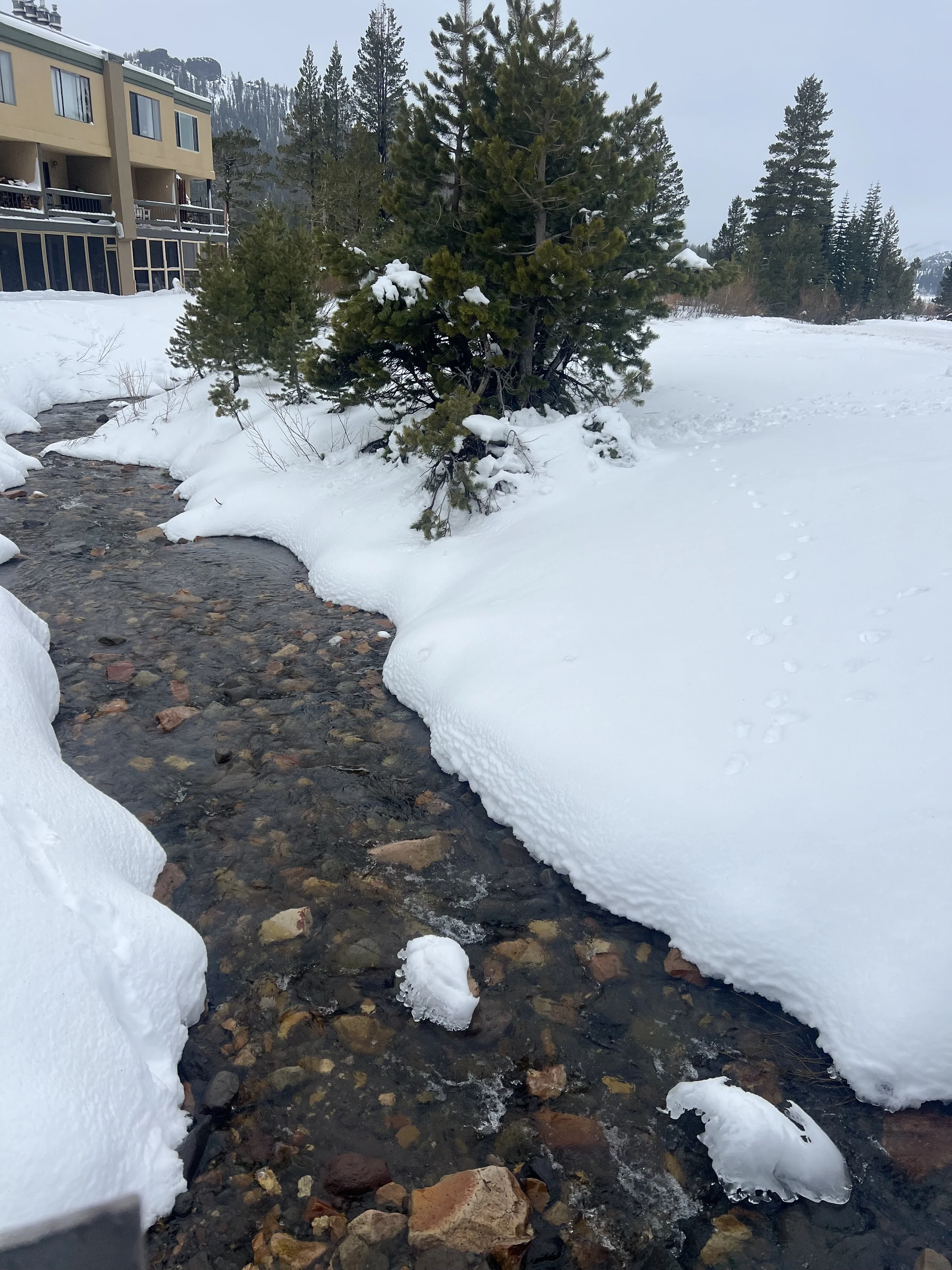 Dear Winter- A love letter