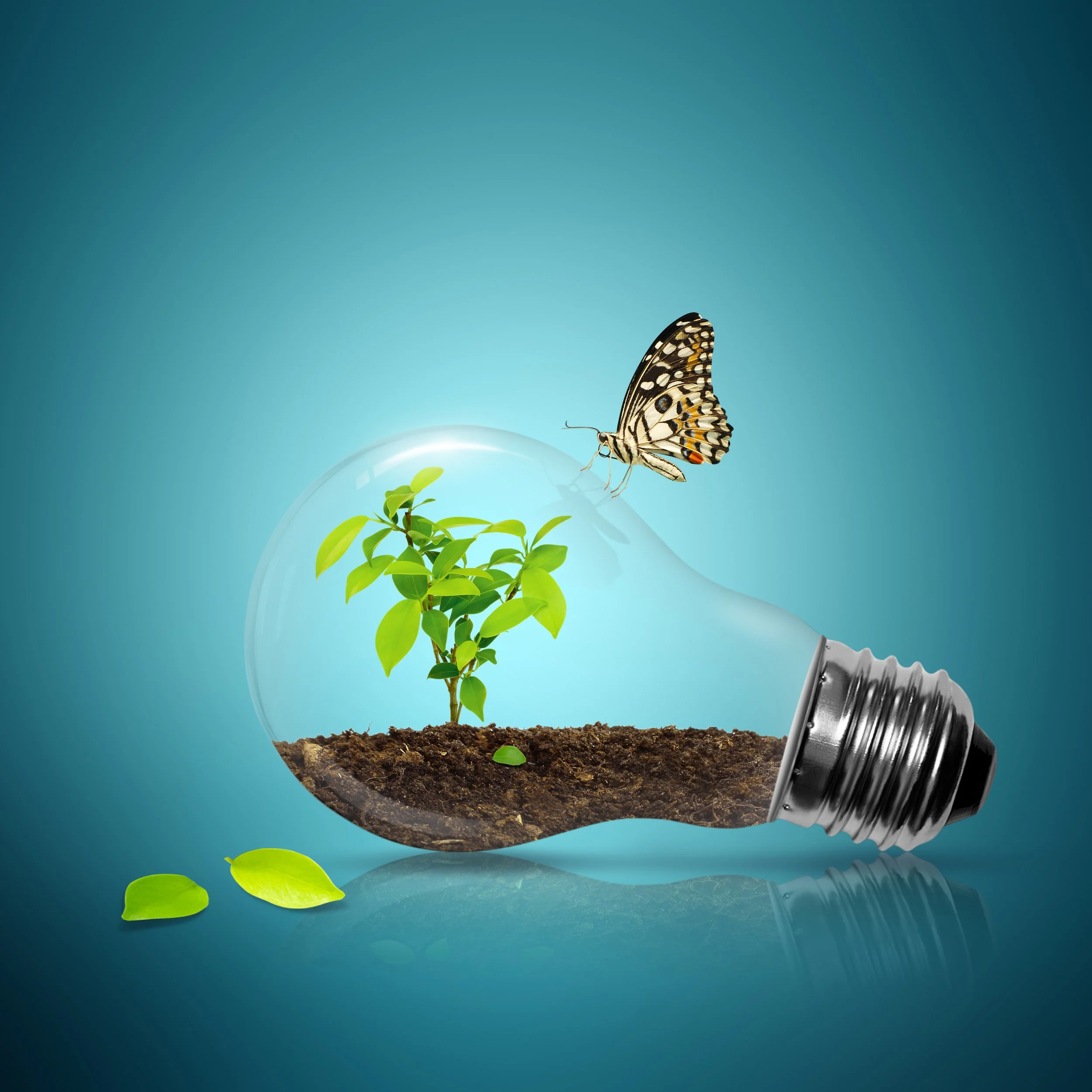 ISO 14001:2026 Coming Soon!