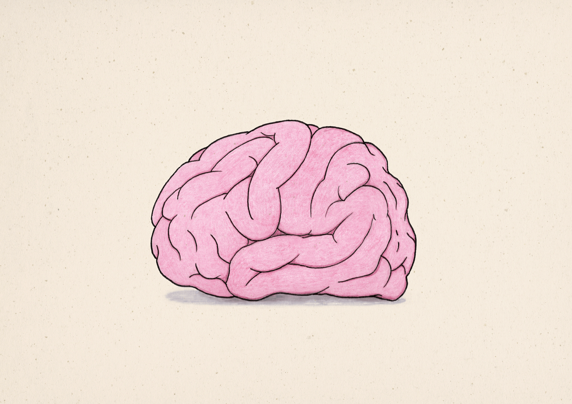 Brain Rot Meaning: What It Is, Why You Have It, and Why You Can't Stop