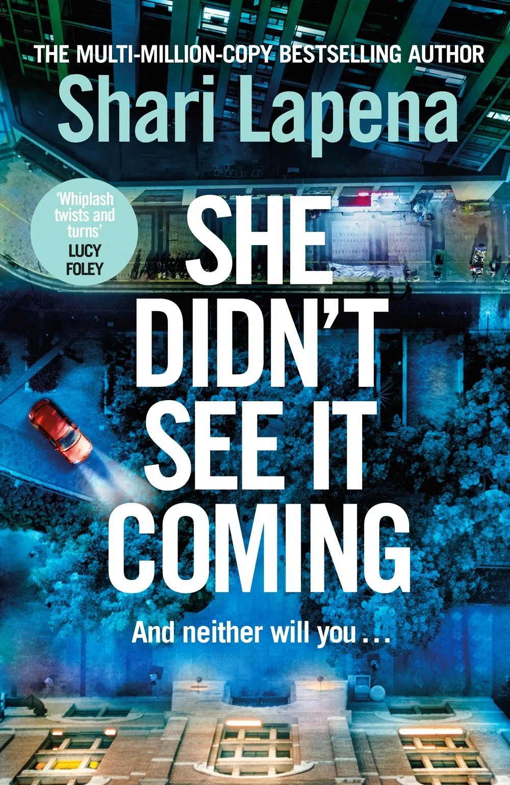 She Didn't See It Coming by Shari Lapena