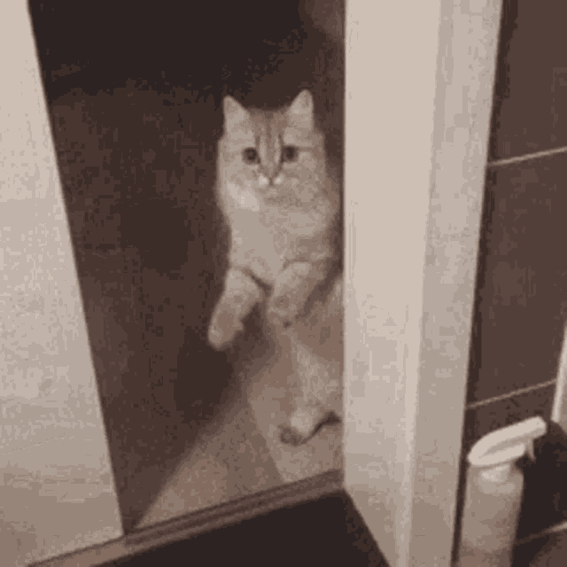 When Opening the Door Leads to Overstepping