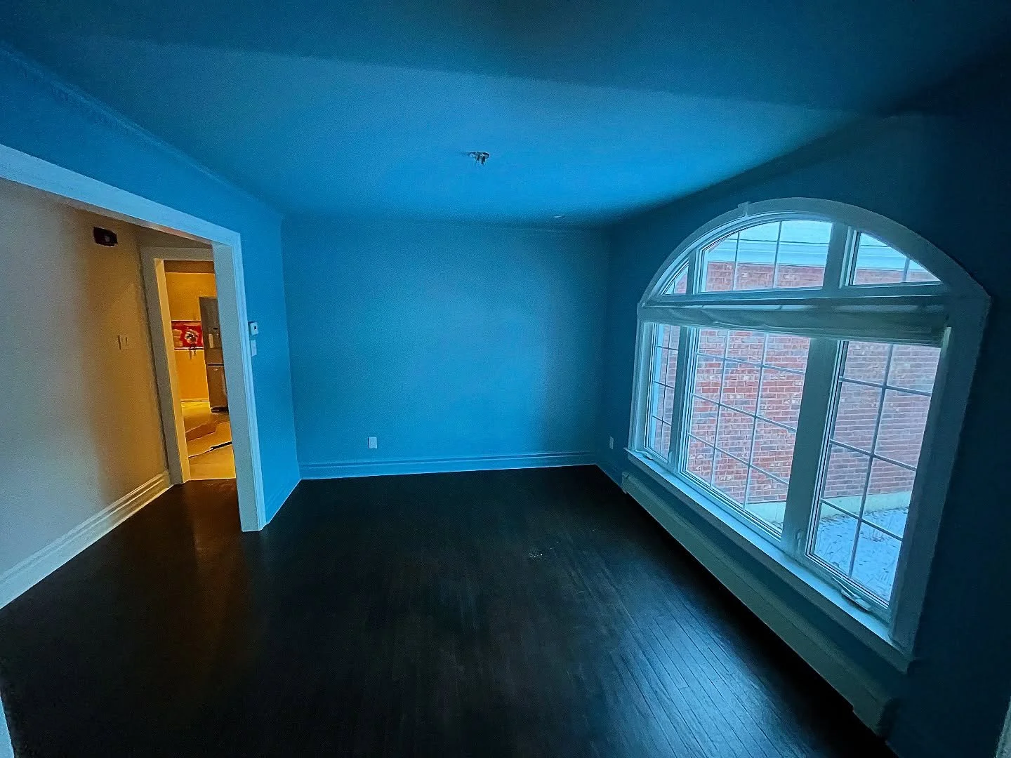 Fun Benjamin Moore slate blue colour drench of this dining room. Trim and crown moulding sprayed with satin for a slick finish, walls eggshell, ceiling ultra flat.