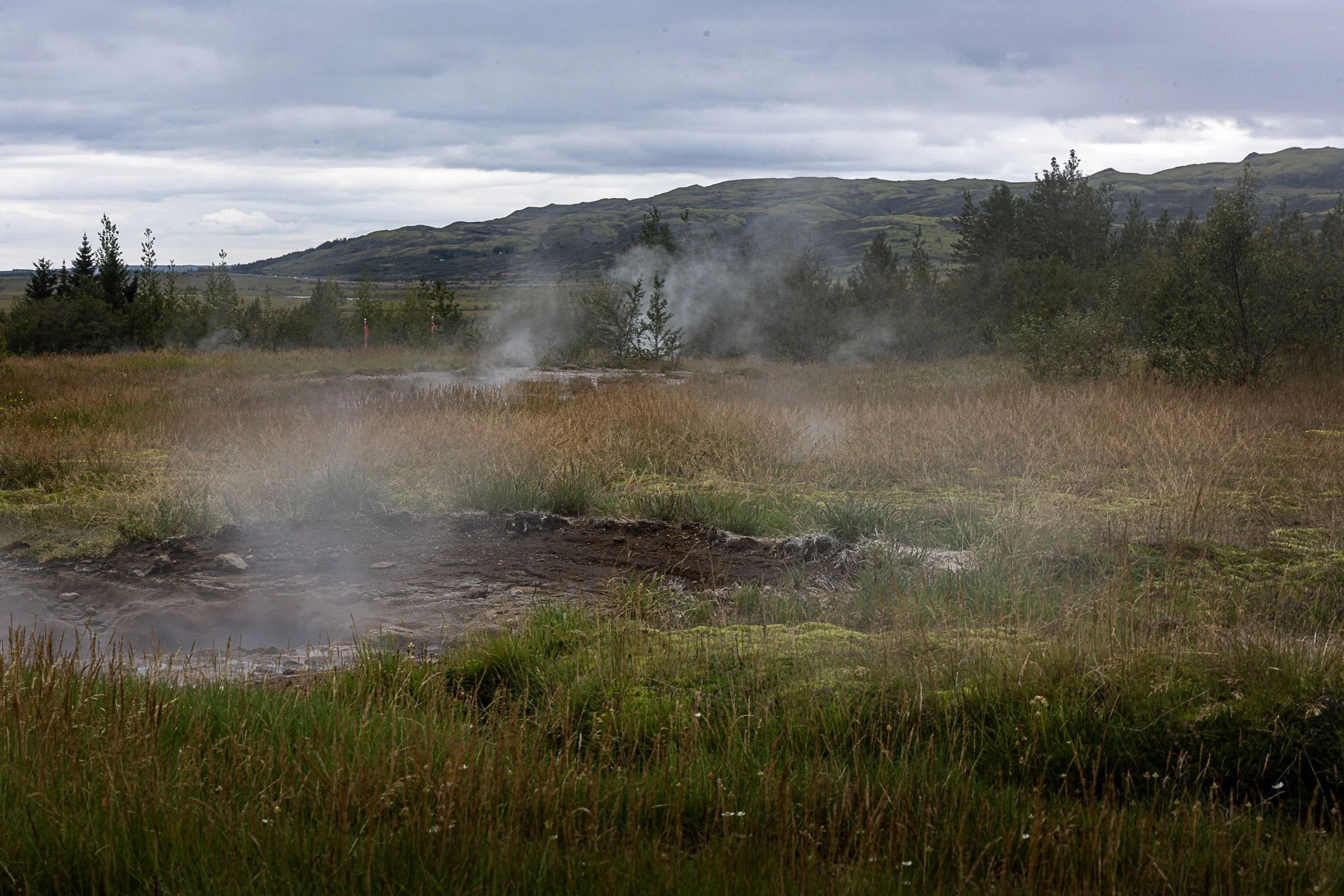 Iceland25_GoldenCircle-0142-2.jpg
