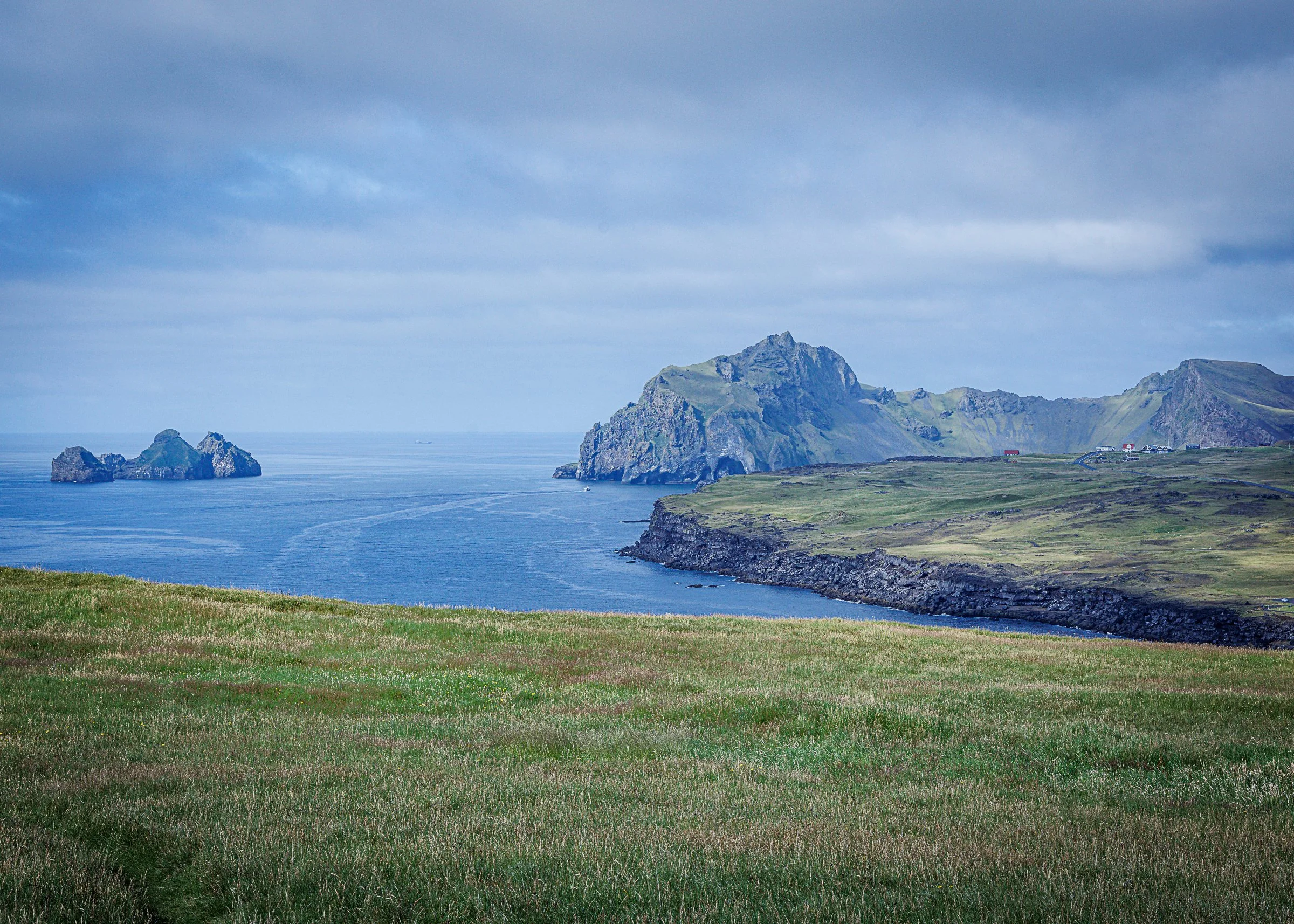 Iceland25_WestmanIslands-0416.jpg