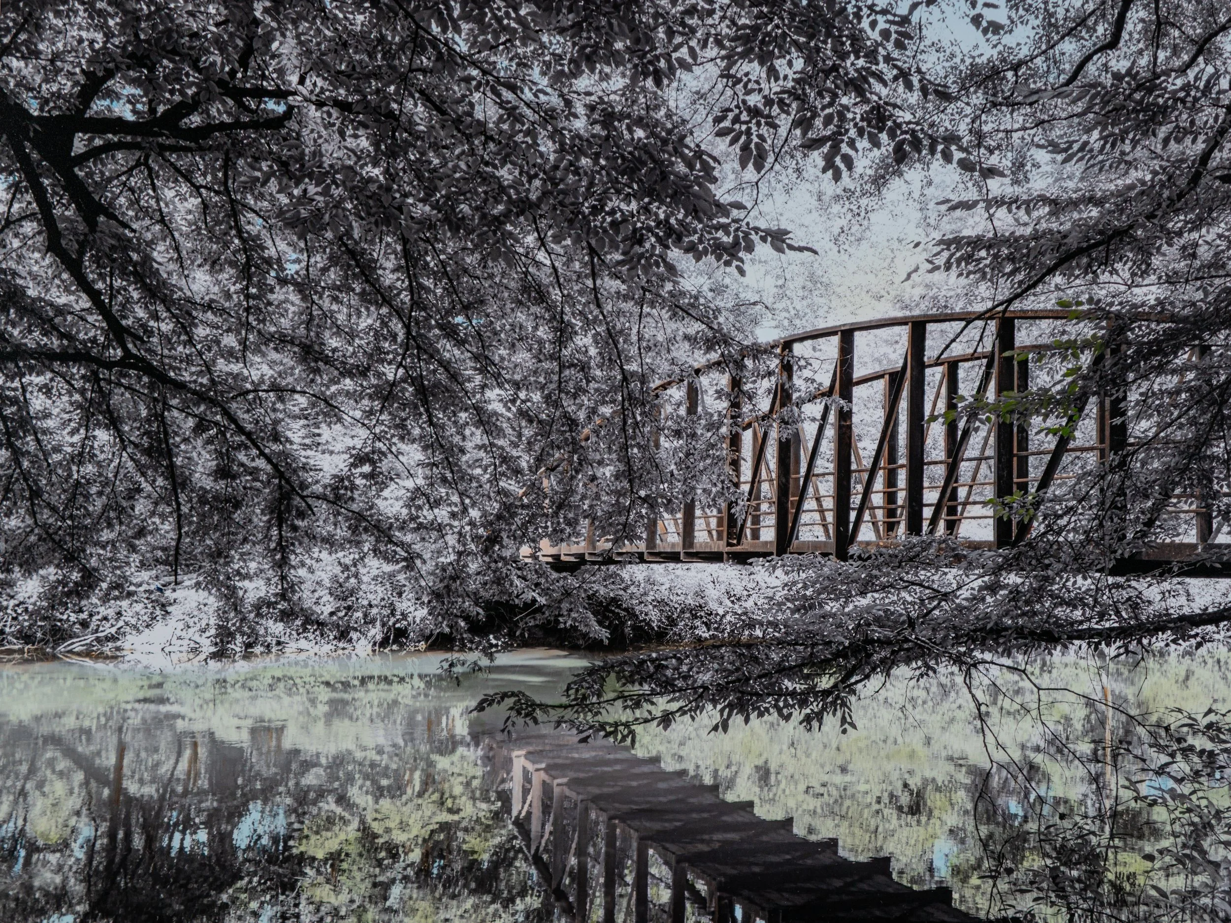 Bridge Over Untroubled Water