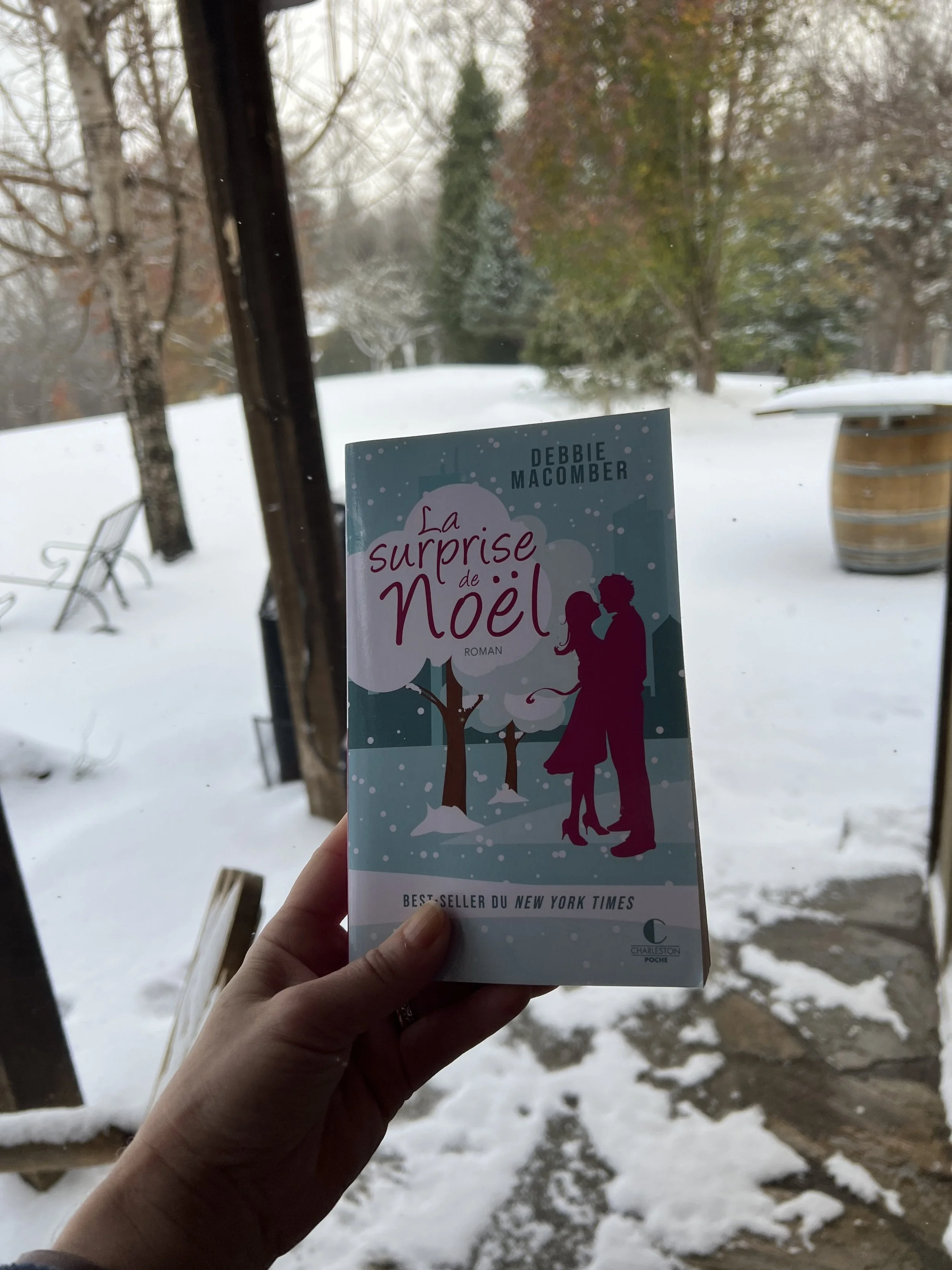 La Surprise de Noël de Debbie Macomber