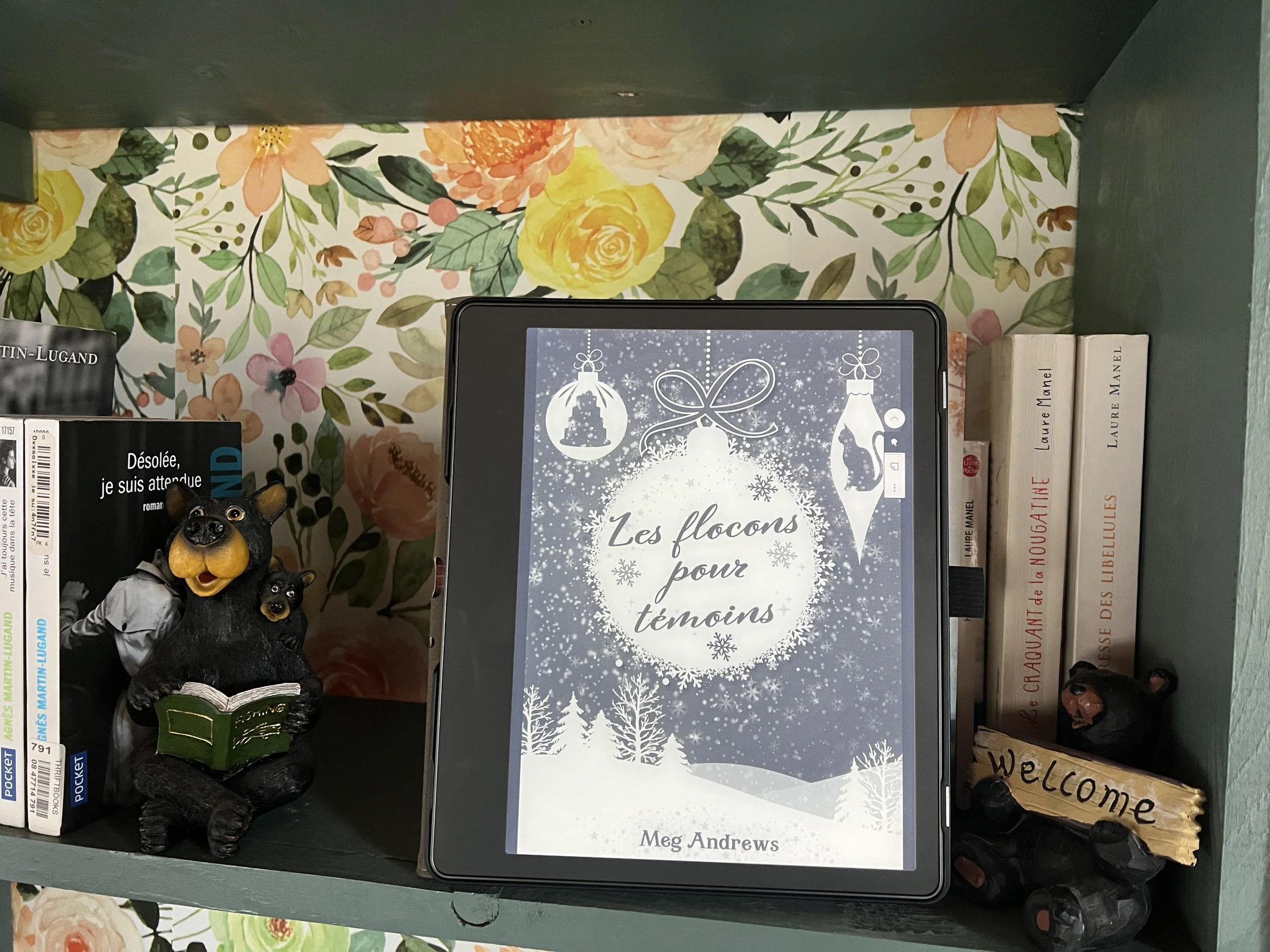 Les Flocons pour Témoins de Meg Andrews