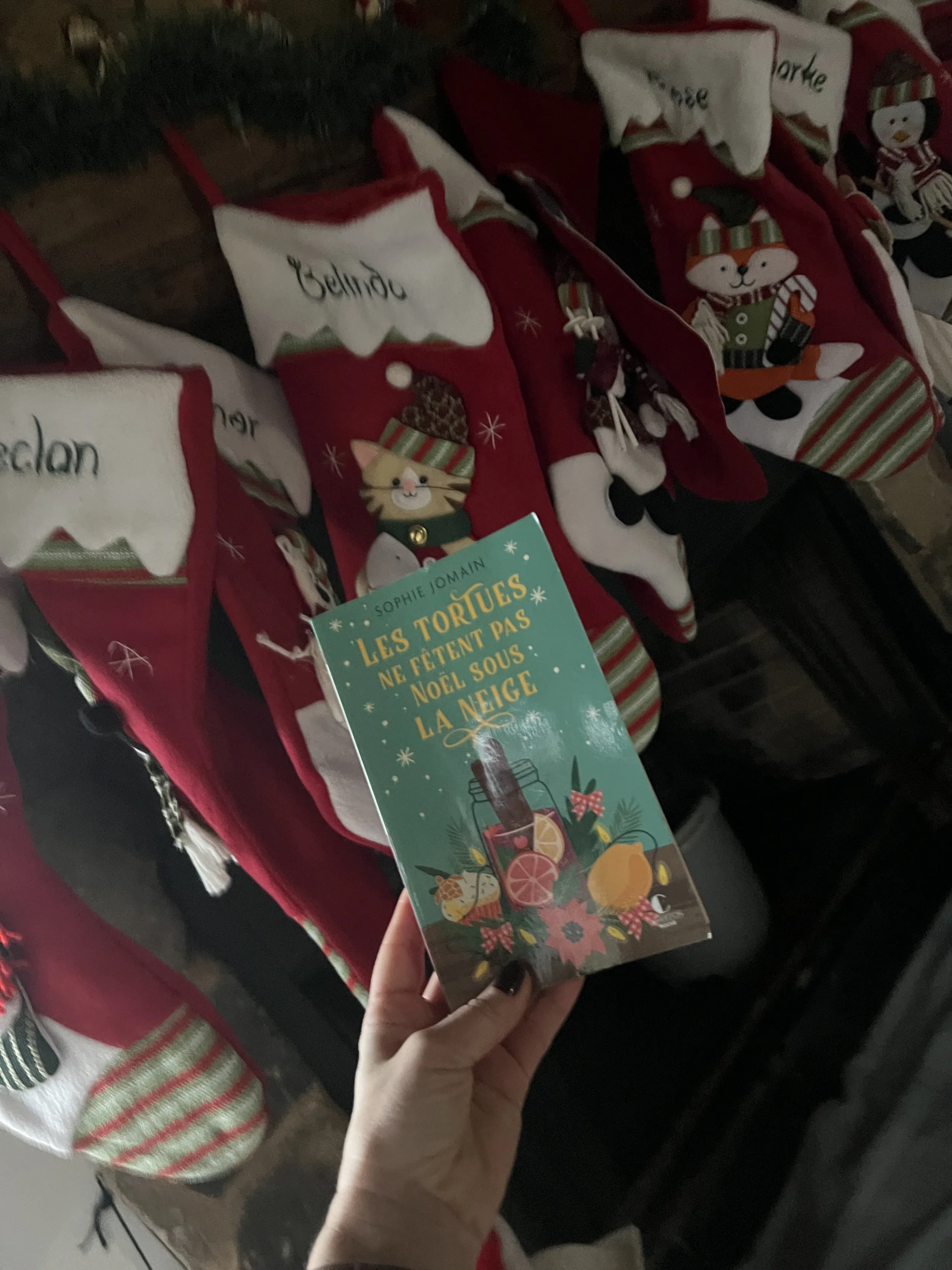 Les tortues ne fêtent pas Noël sous la neige de Sophie Jomain