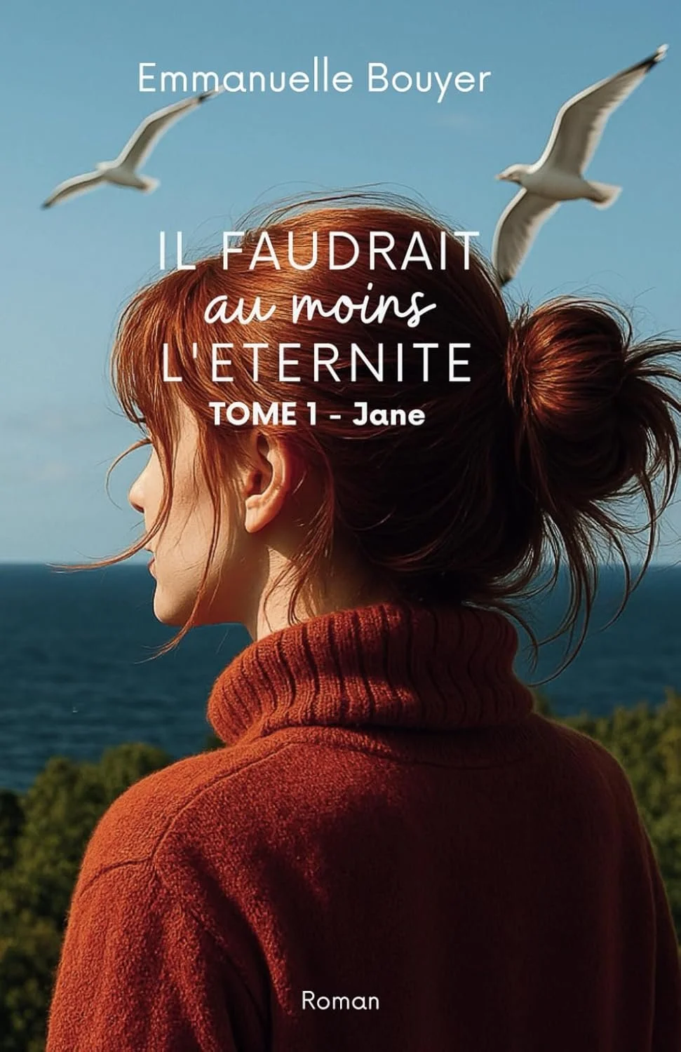 Il faudrait au moins l'éternité d'Emmanuelle Bouyer